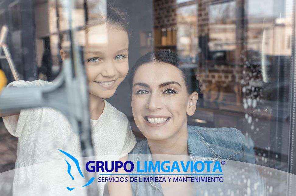 Limpiezas Puligaviota: ¿Cómo limpiar las ventanas sin dejar rastro?