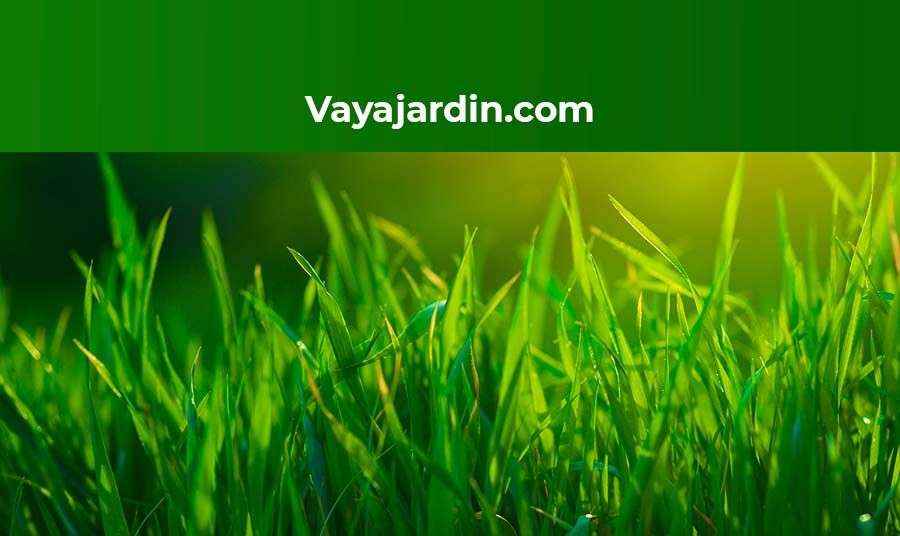 Pérgolas para casetas de verano según Vayajardin.com