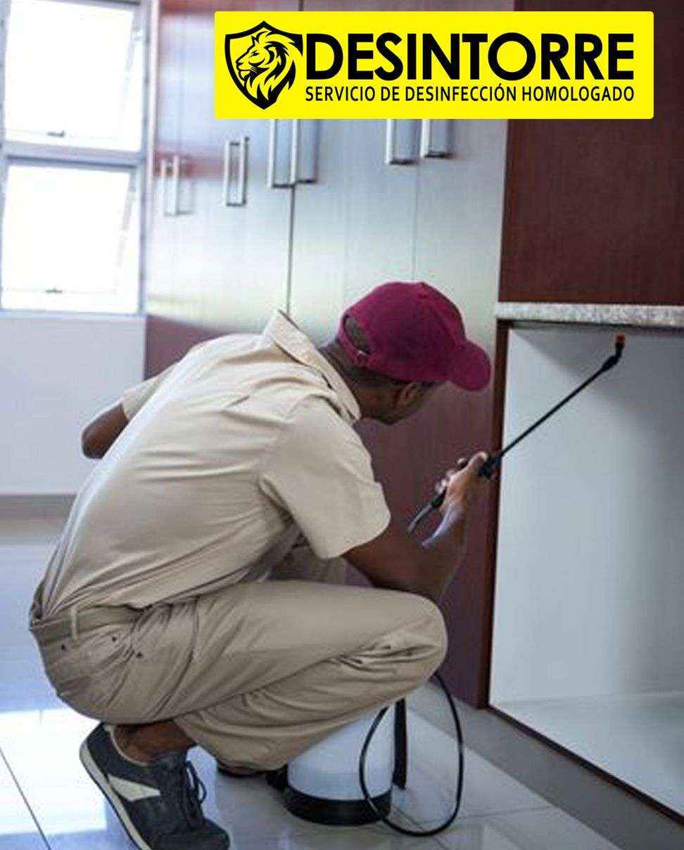 DESINTORRE: ¿Cómo luchar contra la aparición de las plagas?
