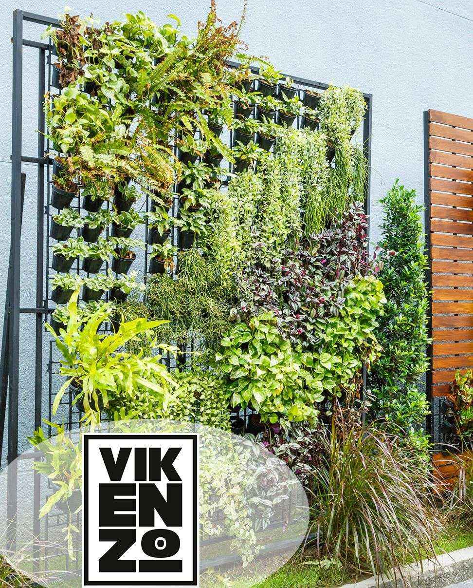 VIKENZO NATURE: Todos los secretos para tener éxito en un jardín vertical