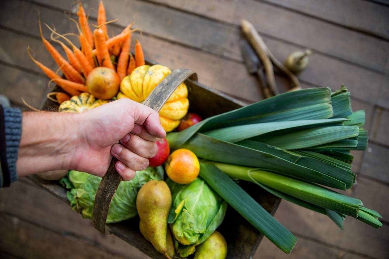 EcoSarga: Comprar frutas y verduras directamente al agricultor