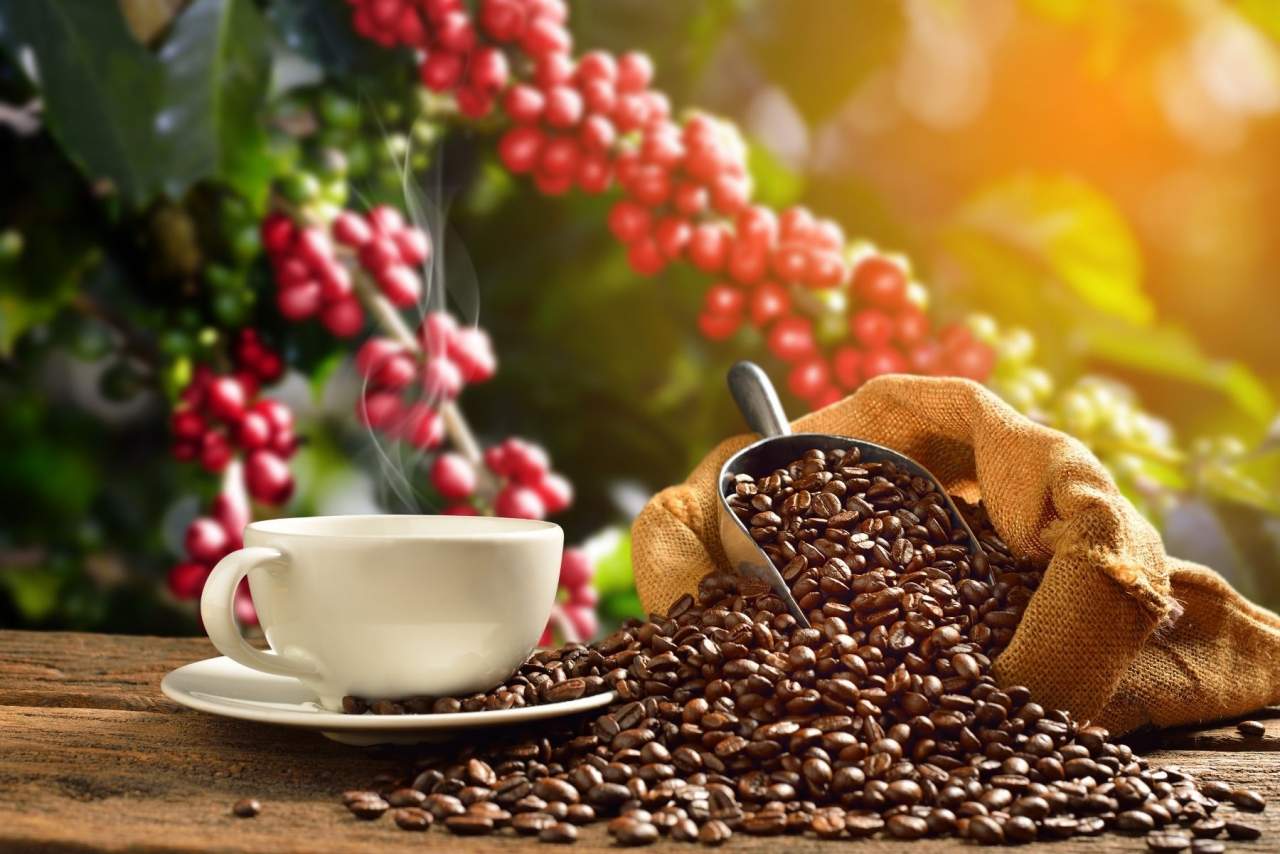 Café de especialidad en Santiago de Compostela: Coffee Mori