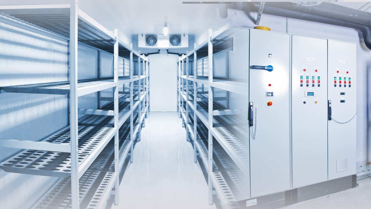 ¿Cómo es la cámara frigorífica de refrigeración de AACORE SUPPLY?