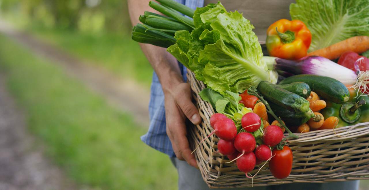 EcoSarga contribuye al boom de la fruta ecológica en 2021