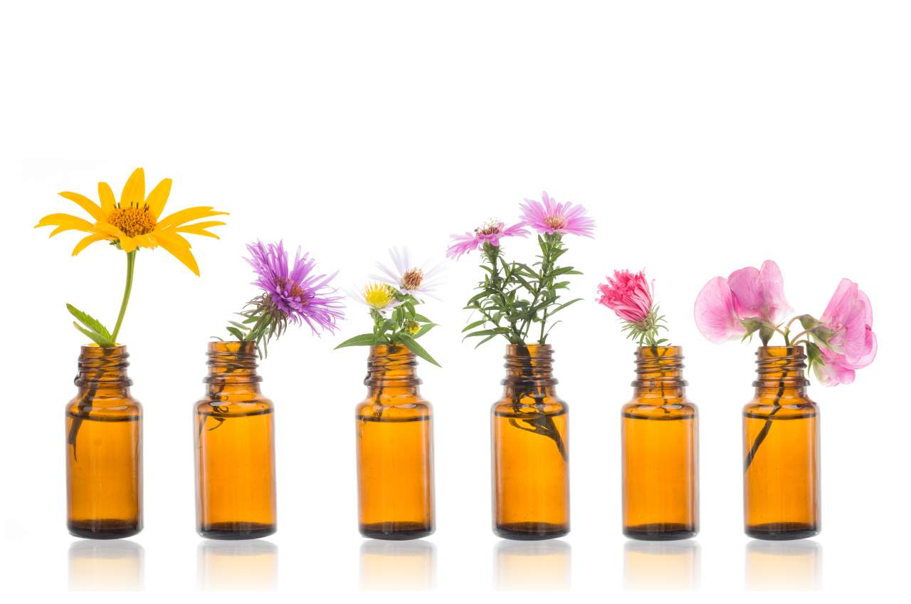 Terapia floral para vivir mejor, Flores de Bach