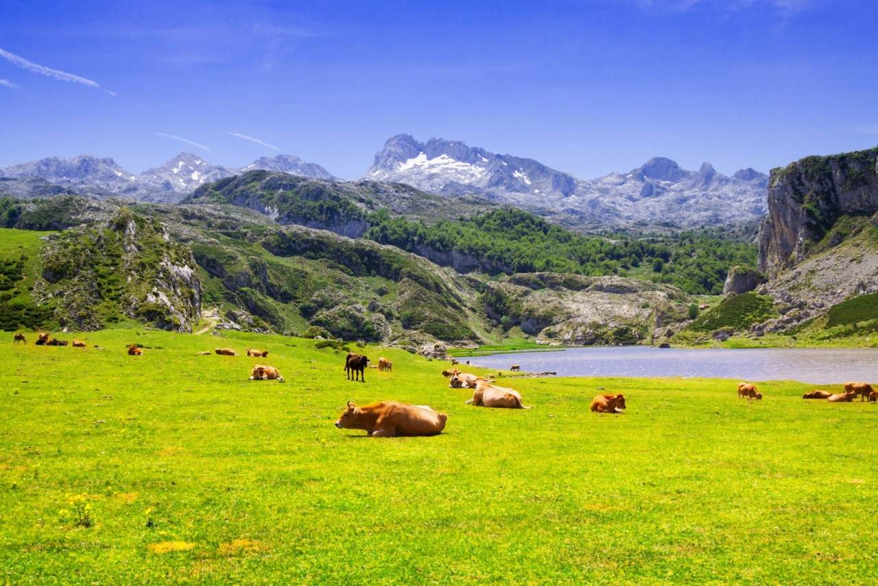 Jaire Viajes: ¿Son importantes las agencias de viajes en Asturias?
