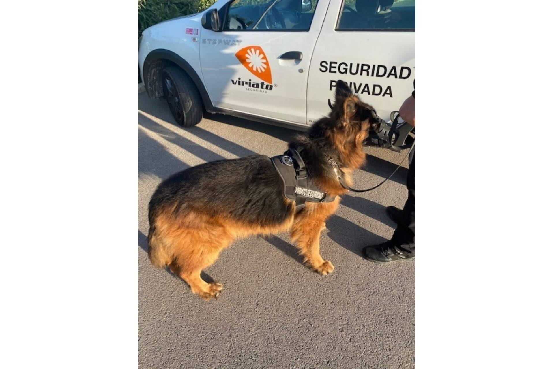 Viriato Seguridad, se posiciona como una empresa referente en el sector de la seguridad gracias a sus servicios de vigilancia de alta calidad