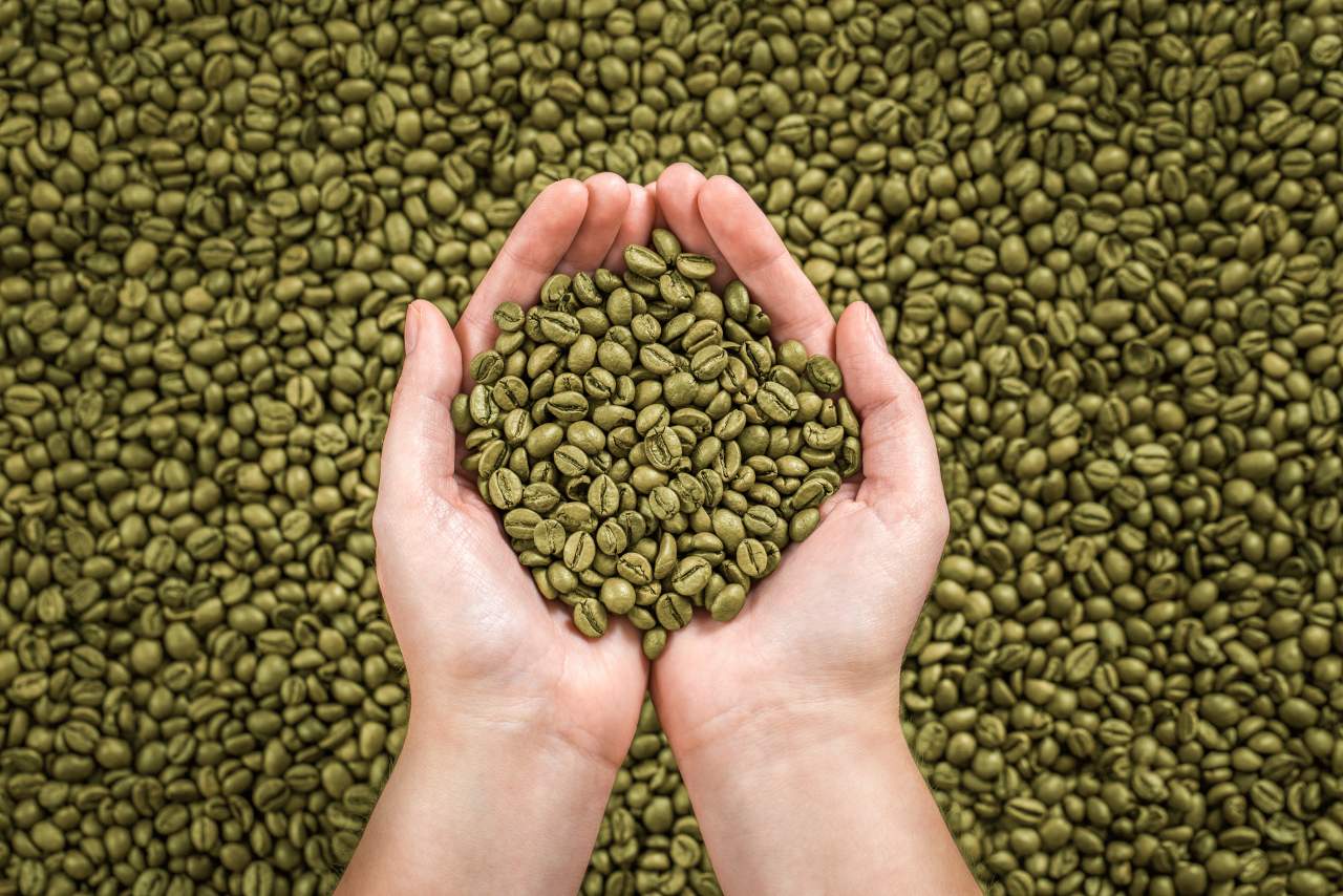 En Libis Coffee Roaster fomentan la compra del café verde