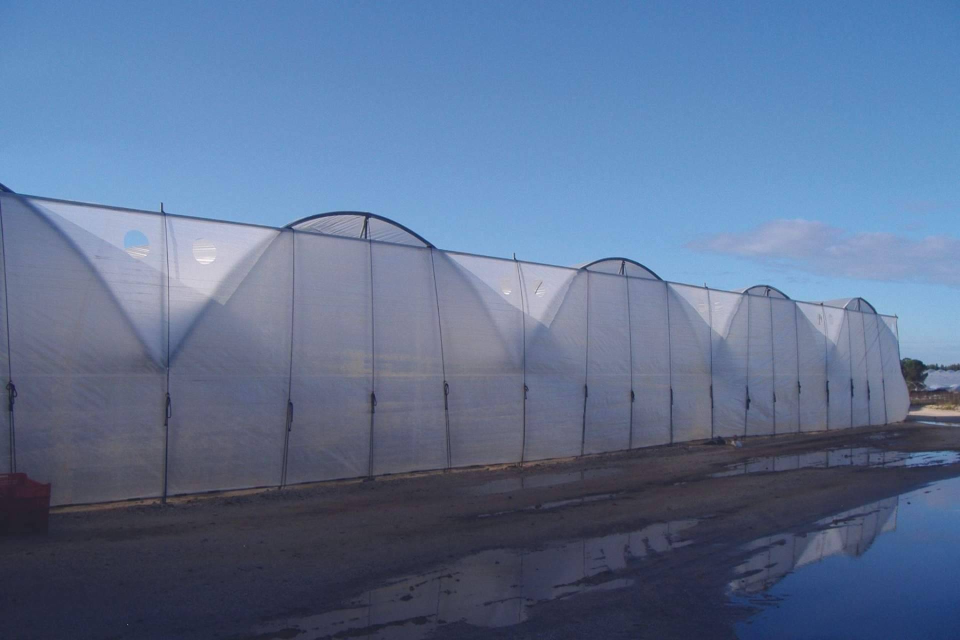 AGRALIA: la empresa con tecnología patentada para la protección de cultivos que tiene presencia a nivel internacional