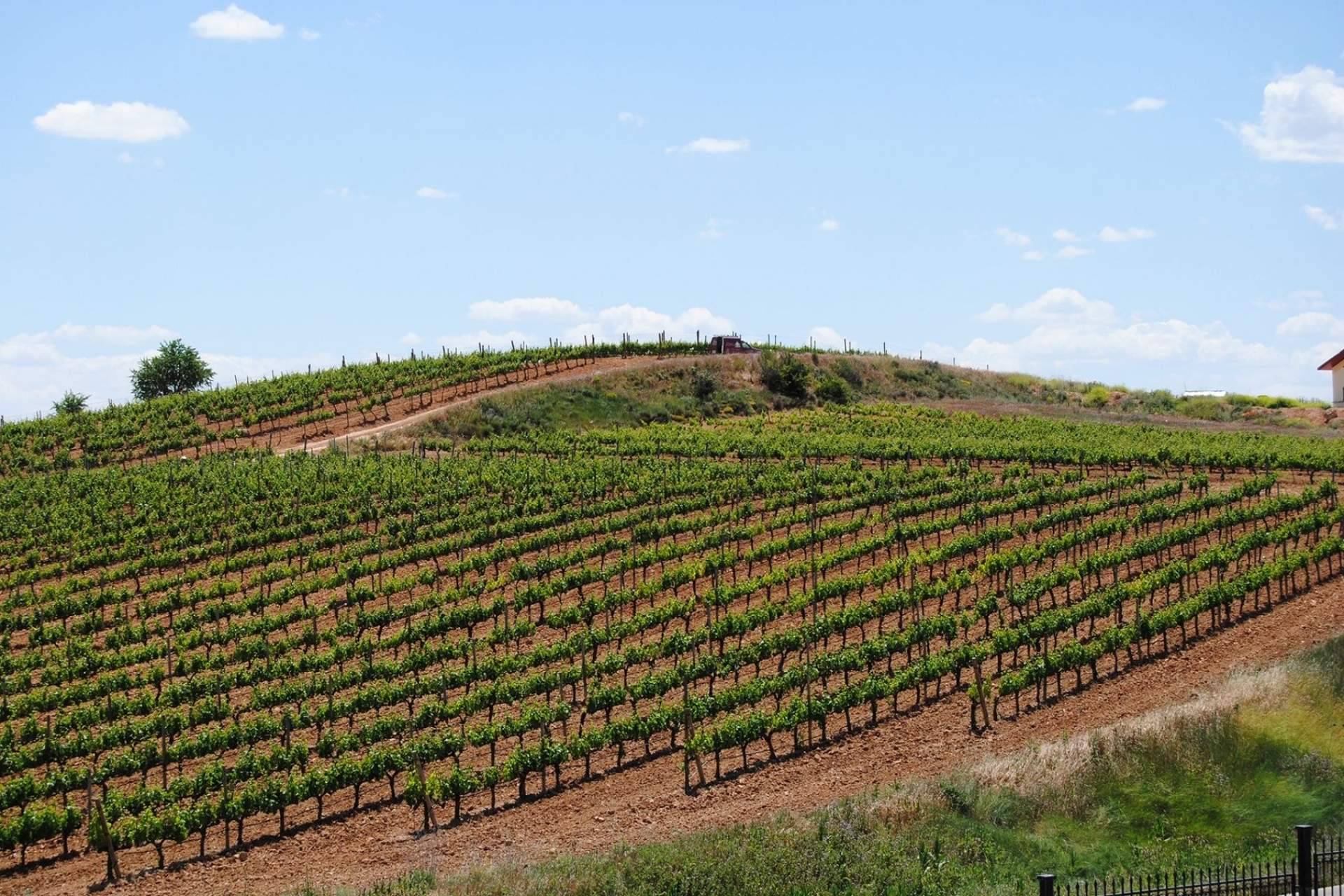 La innovación en el mundo de los vinos que aporta Antigva