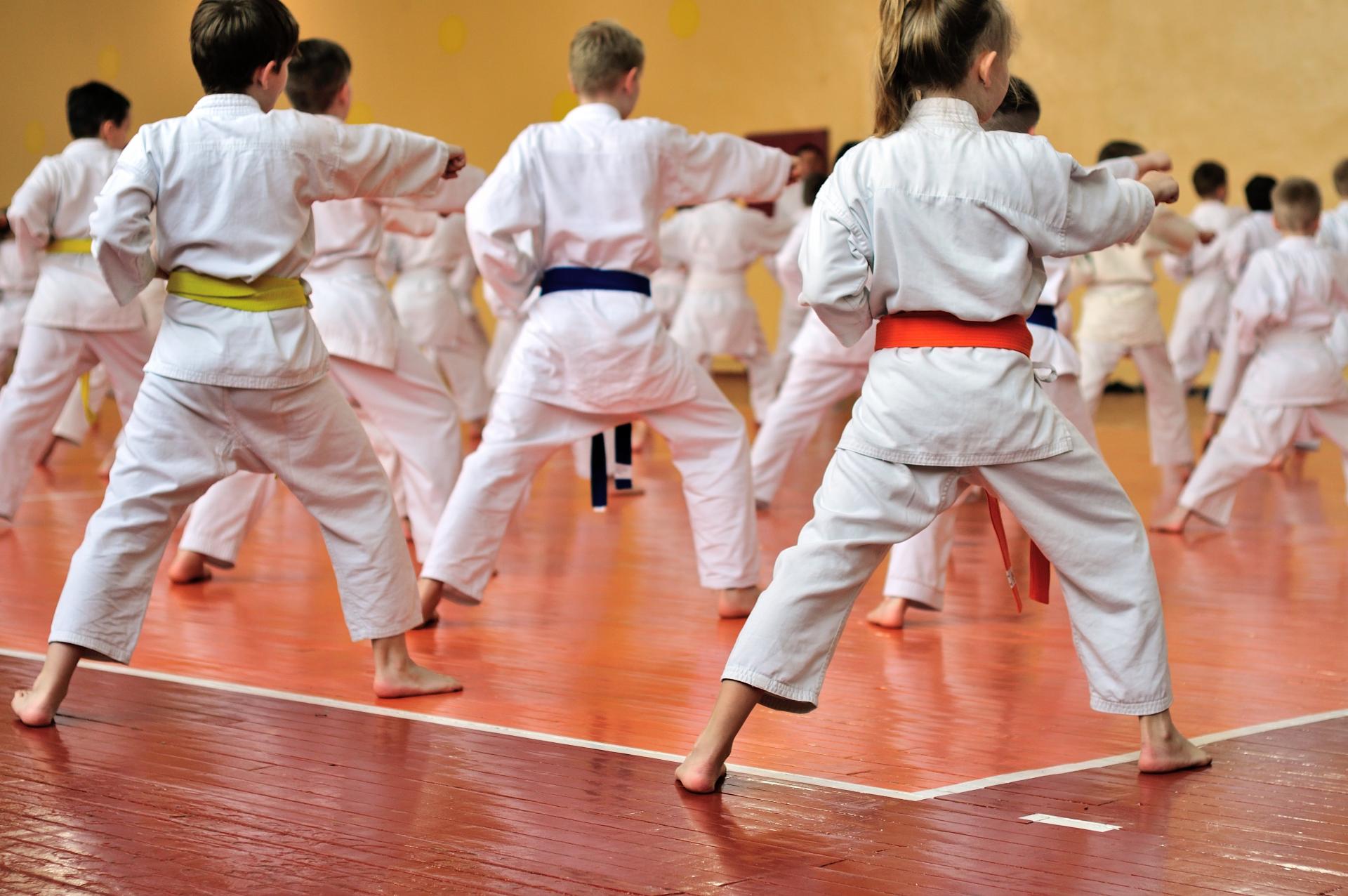 La Escuela de Artes Marciales y Kenpo Kai situada en Madrid, El Dojo, es elegida como una de las principales opciones como extraescolar