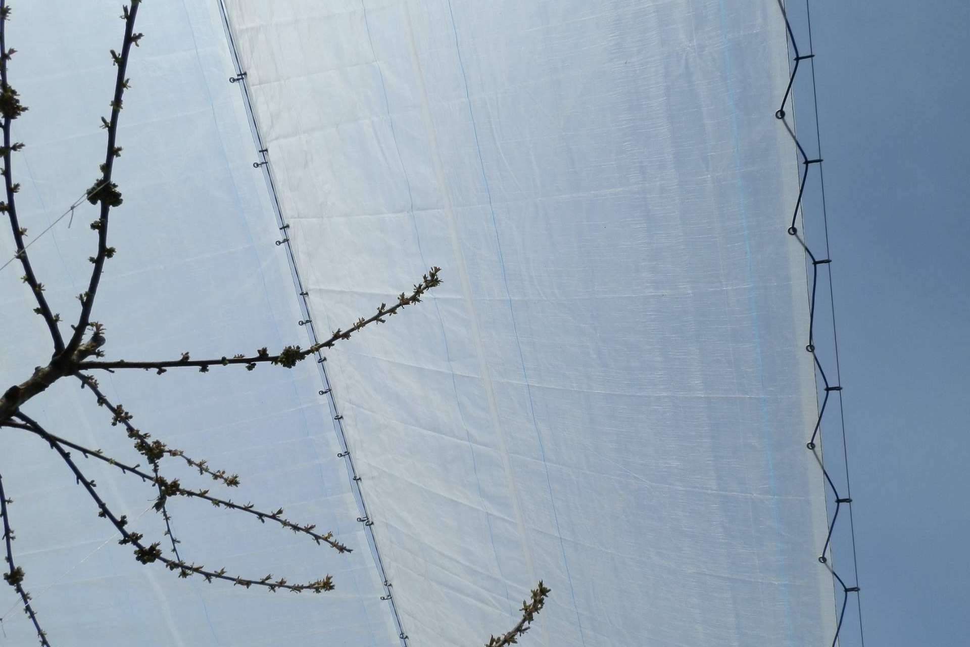 Agralia apuesta por la rentabilidad de la protección de cultivos con la tecnología AGRICOVER