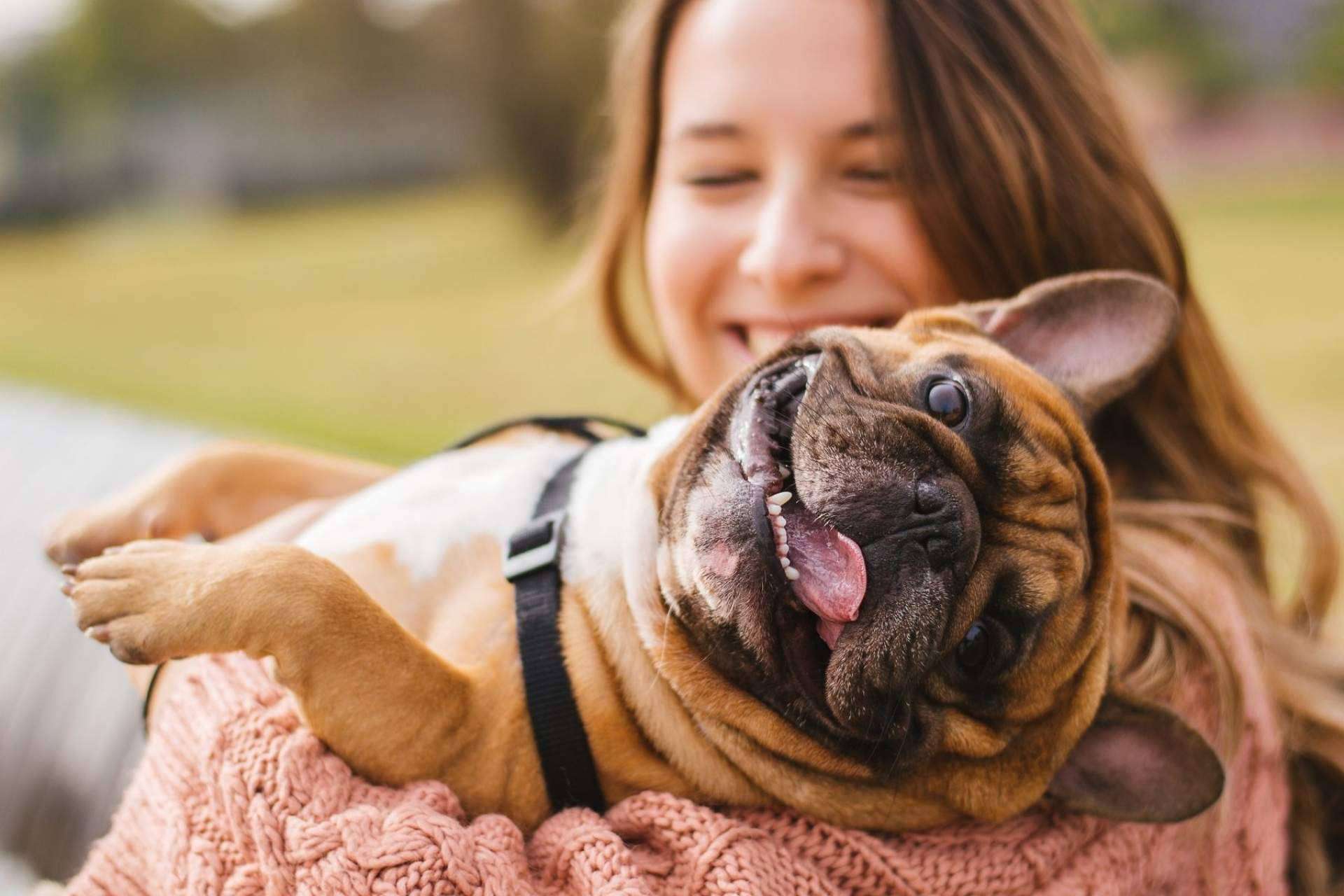 Miwuki Pet Shelter promueve la adopción en pleno auge de abandono de animales tras la pandemia