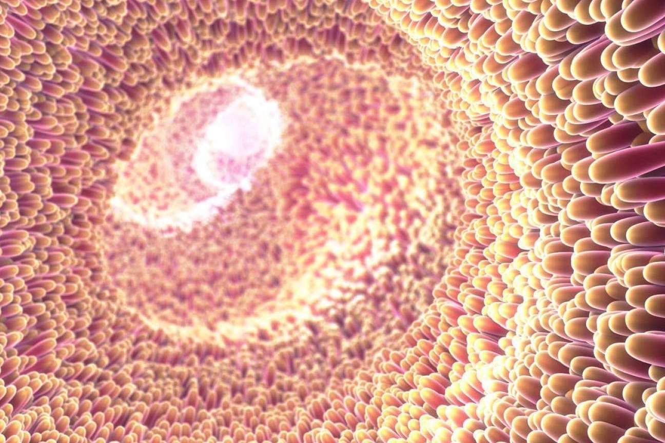 El director de la unidad de microbiota intestinal UMEBIR: entrevista al Dr. Fernando Ruger Viarengo
