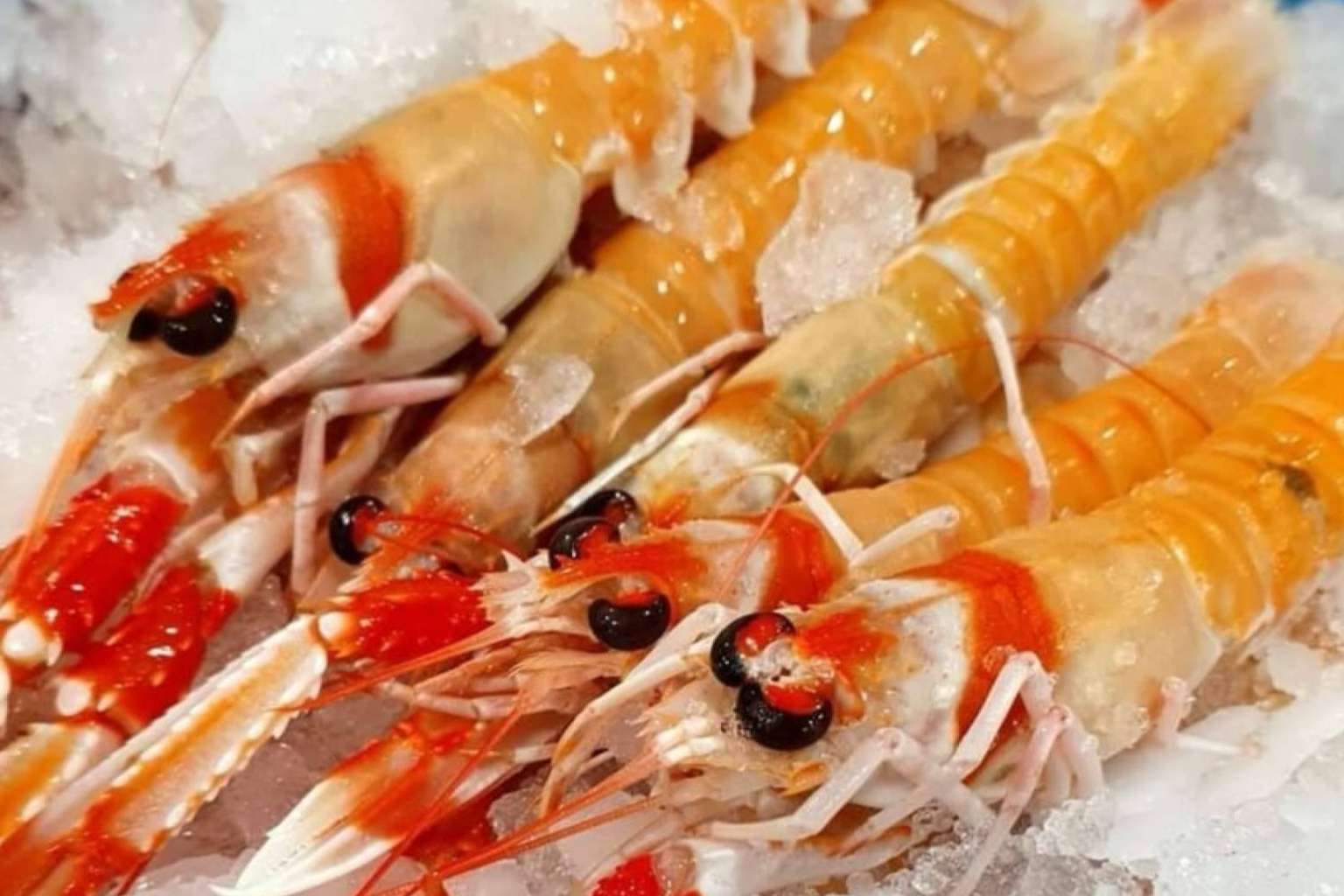 Pescado y marisco fresco y de calidad en comprarpescadoonline.es