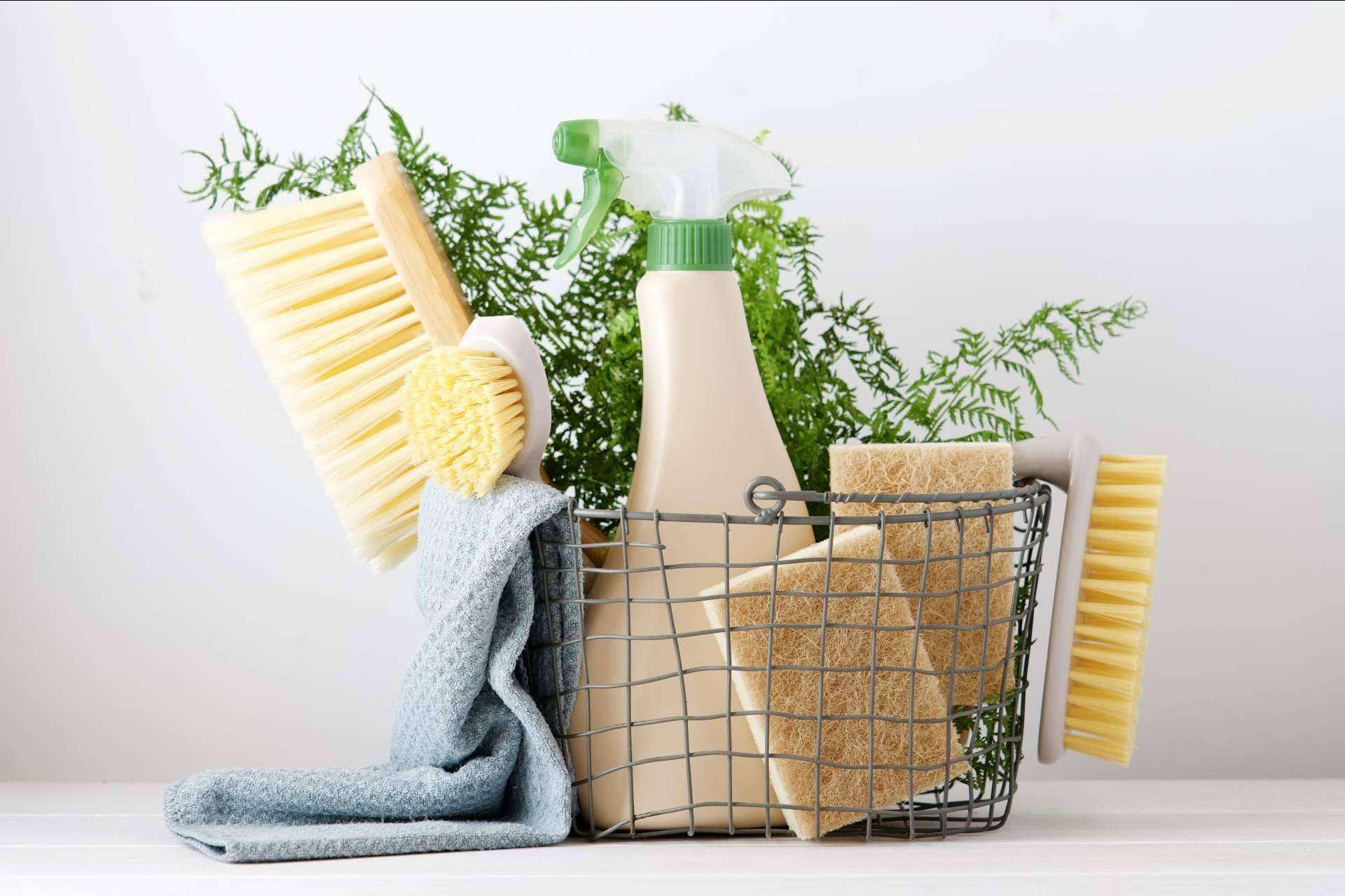 ¿Cómo abrir una Ecocleans franquicia?