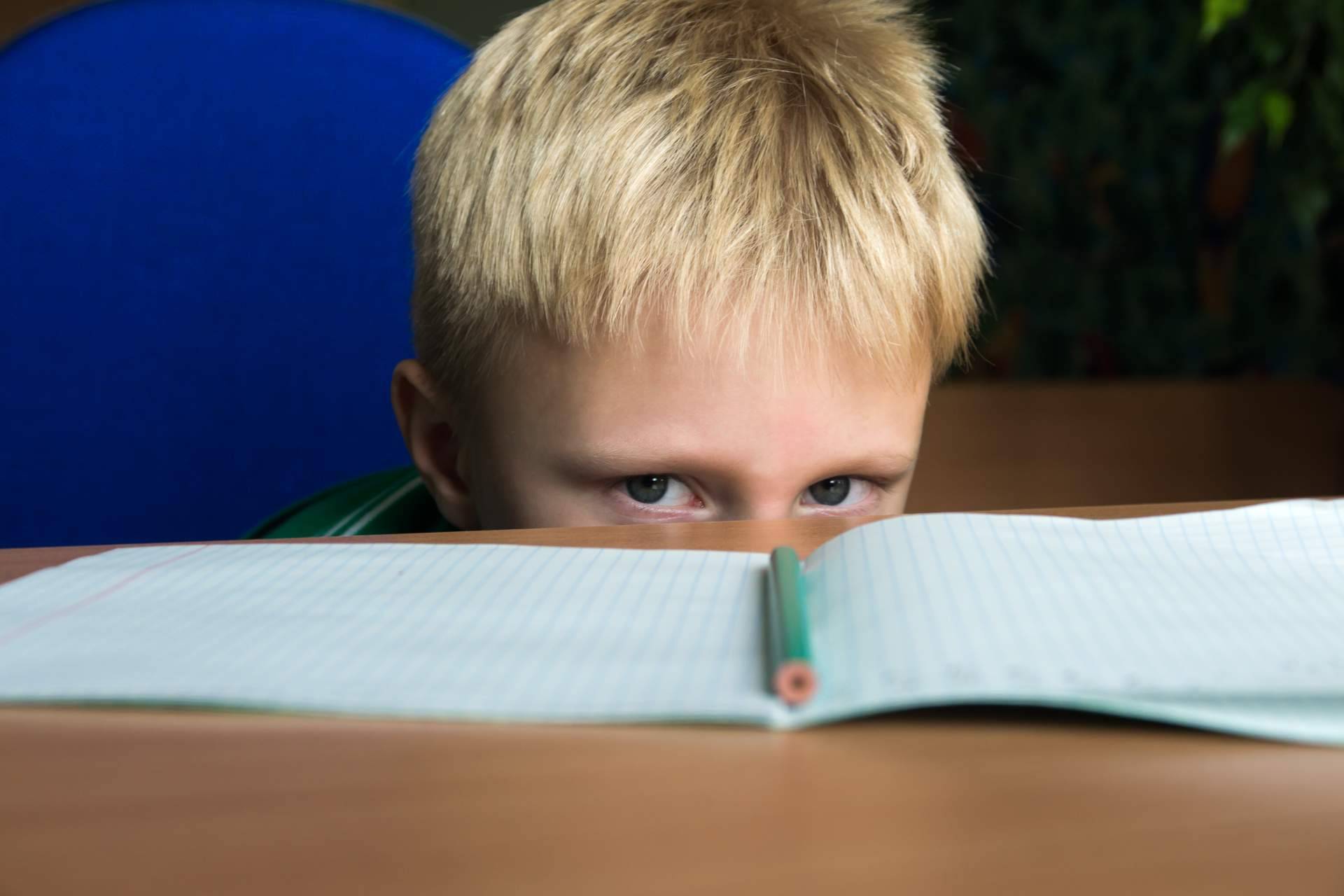 Área 44 Servicios Educativos explica cuál es el objetivo de una evaluación psicopedagógica