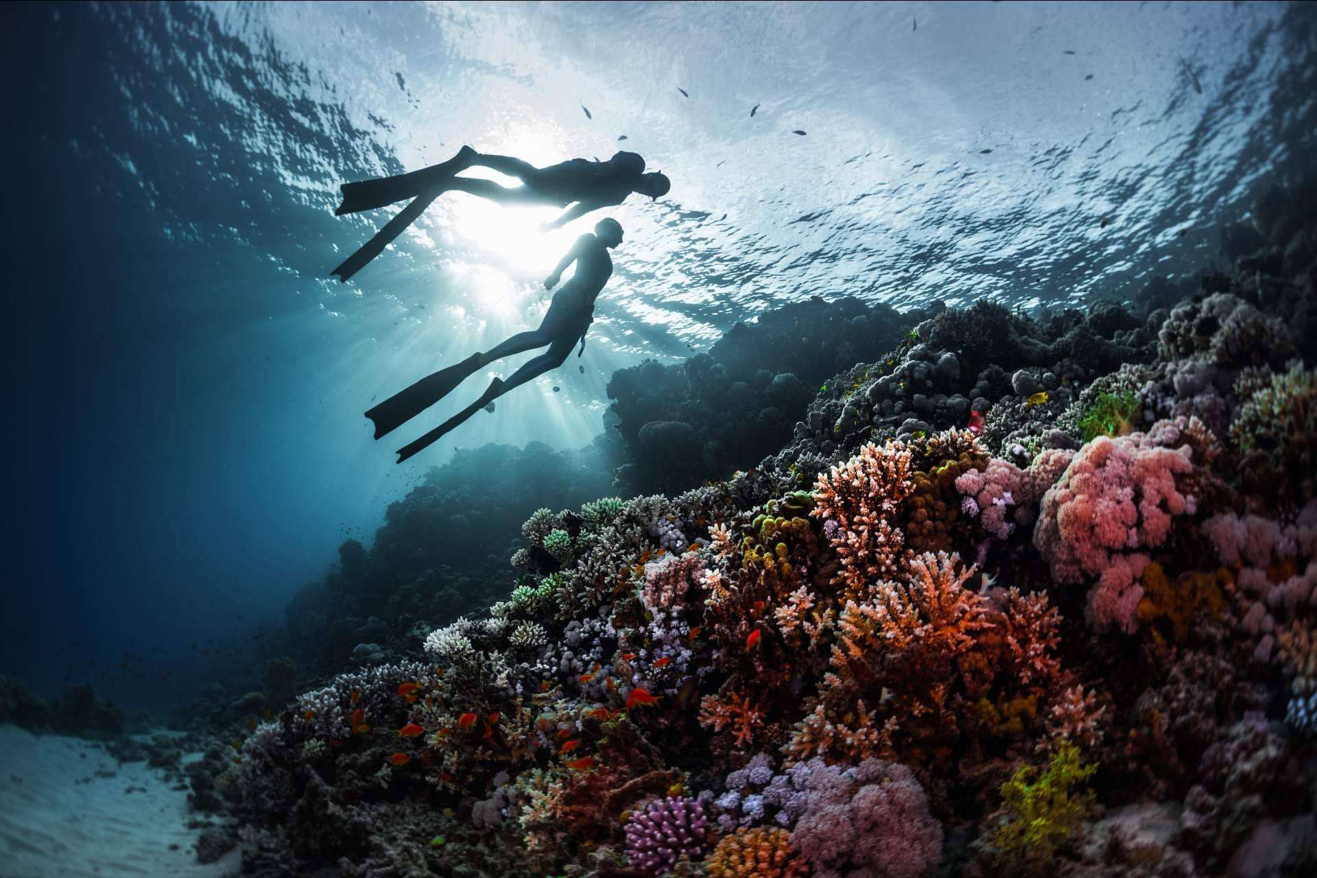 La gestión de estrés en el buceo con el equipo de Gestión Emocional