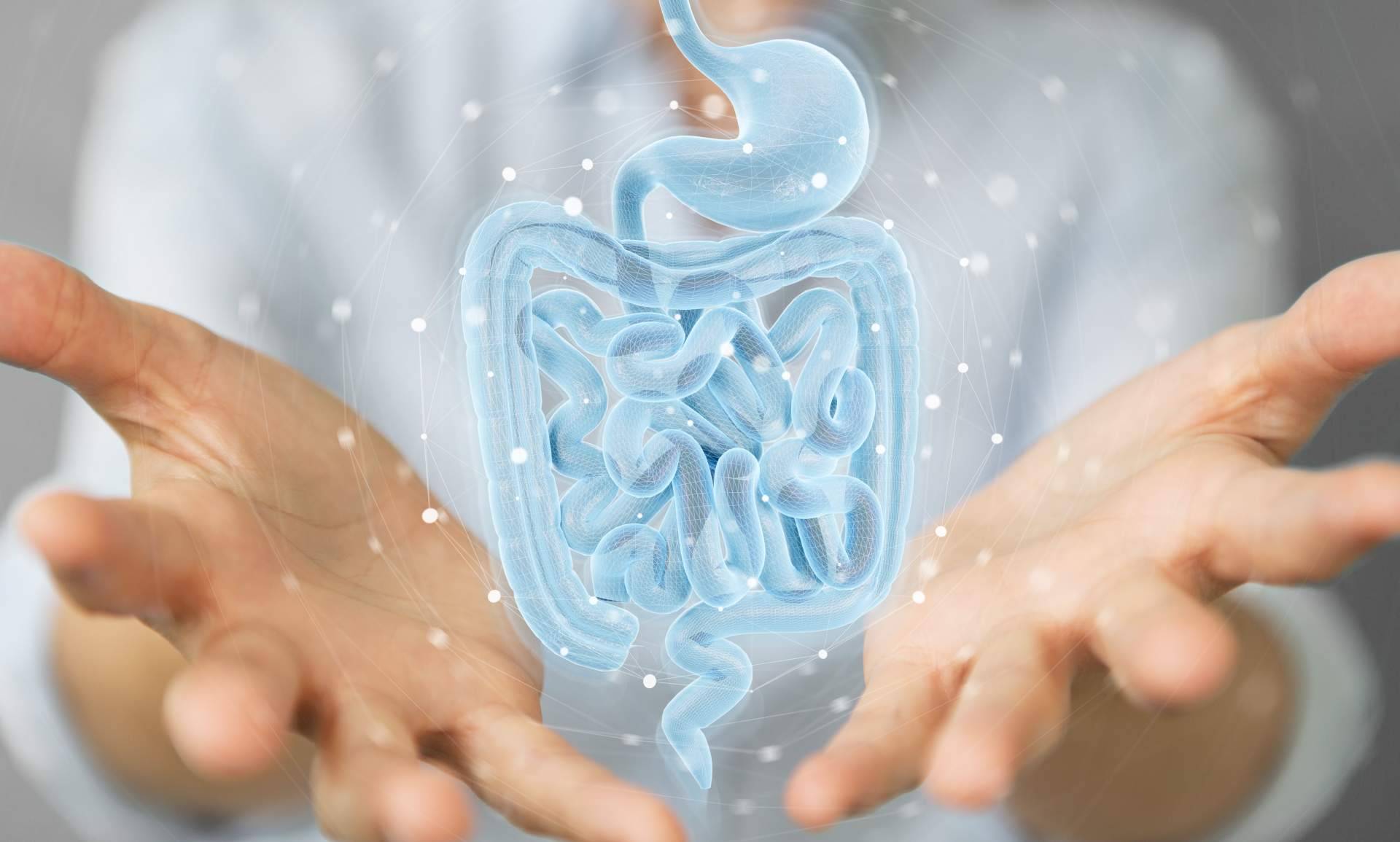 Uno de los máximos exponentes profesionales del país da sus claves para mejorar las tasas de éxito terapéutico en tratamiento del SIBO y tratamiento del LIBO