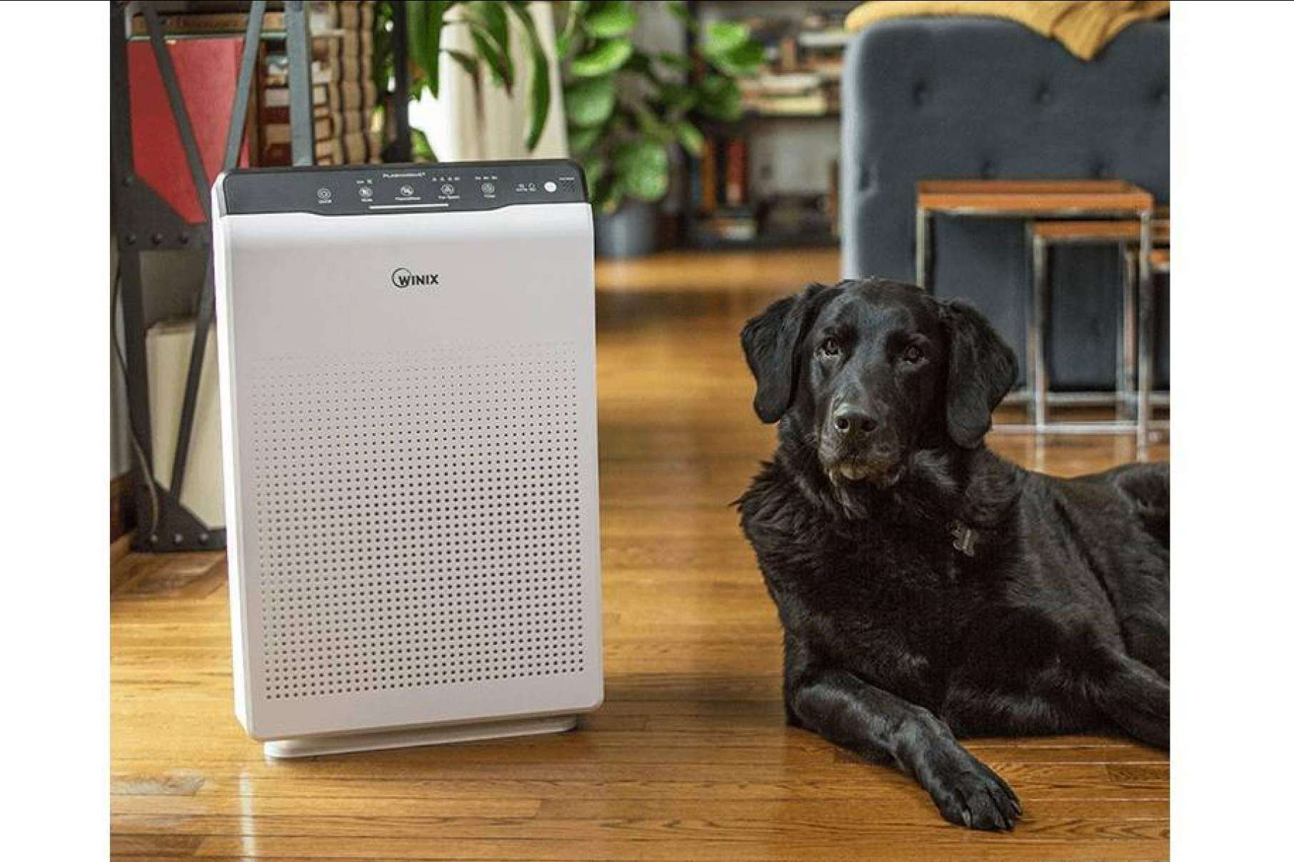 Aire limpio con los purificadores WINIX de Protect Soiart Distribución