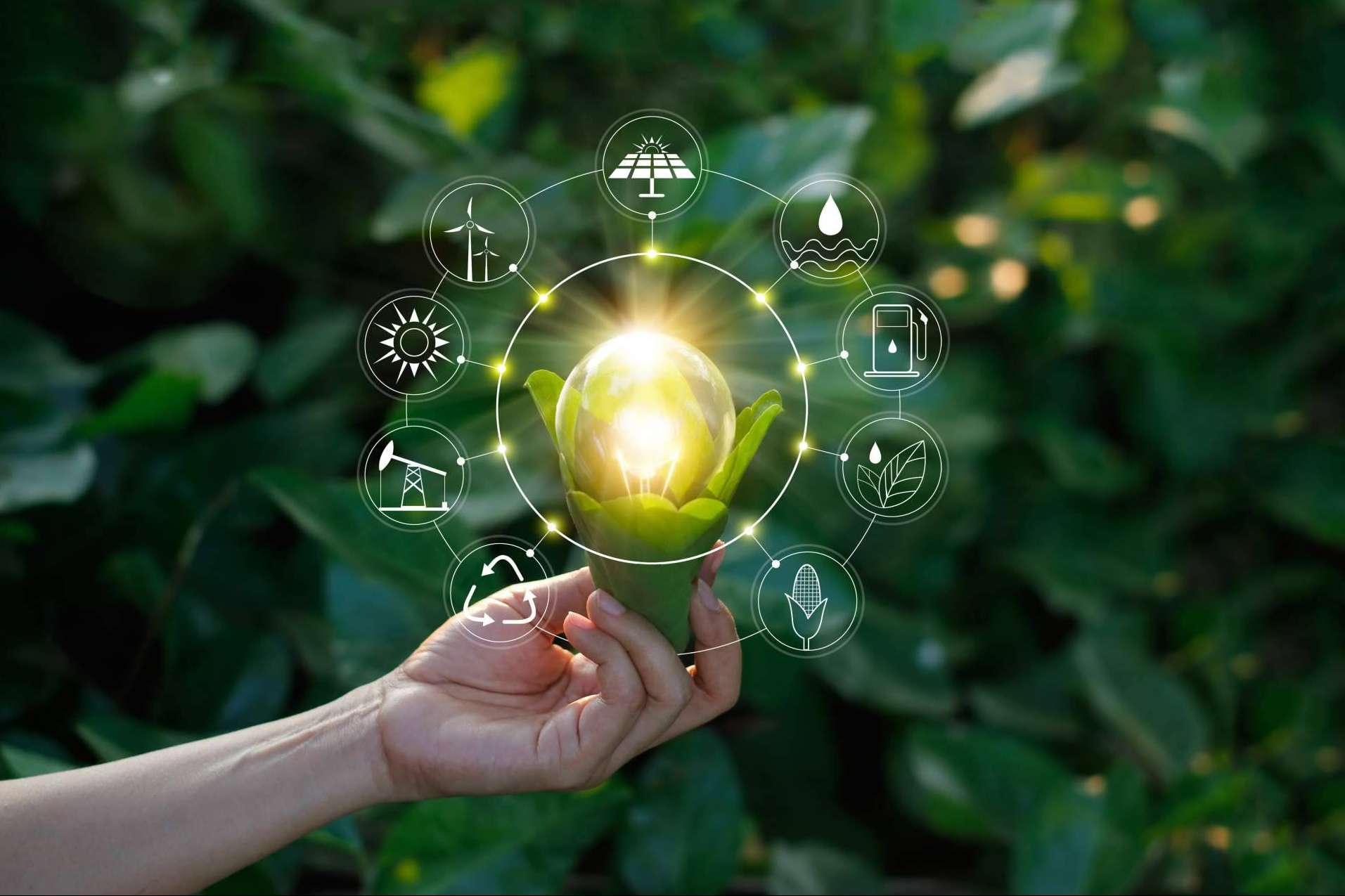 Facilitar las opciones de contratación de las empresas con Hcebox, el software propio de Energybox