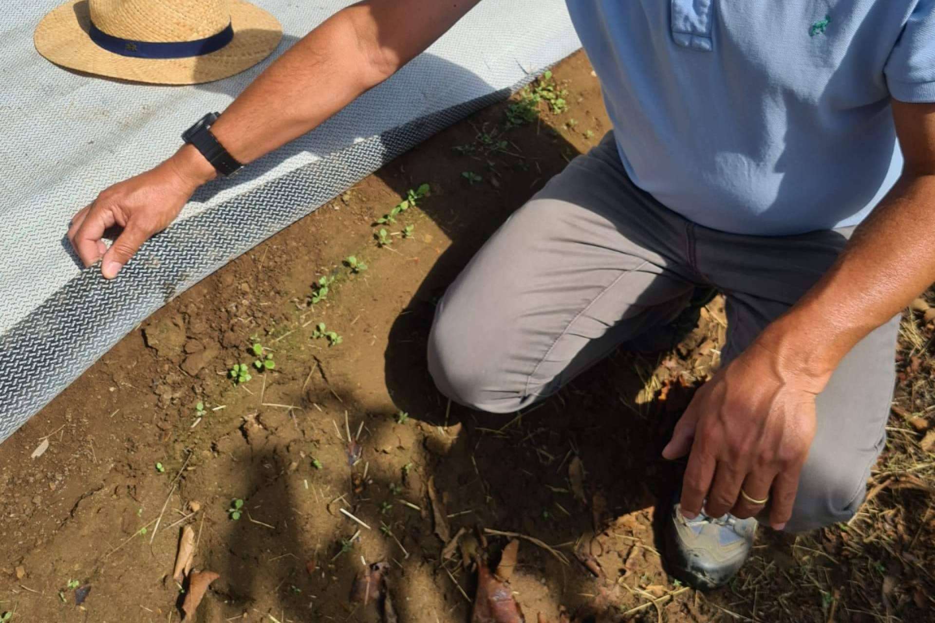 Agralia: el tejido cubresuelos Agrisoil