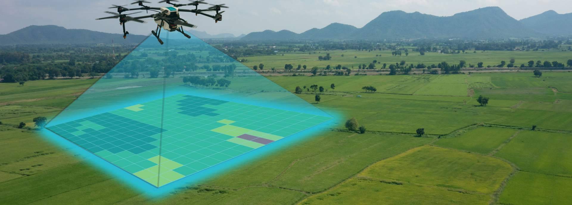La óptica y la fotónica: tecnologías clave para el desarrollo de un sistema innovador para la mejora del cuidado de los cultivos