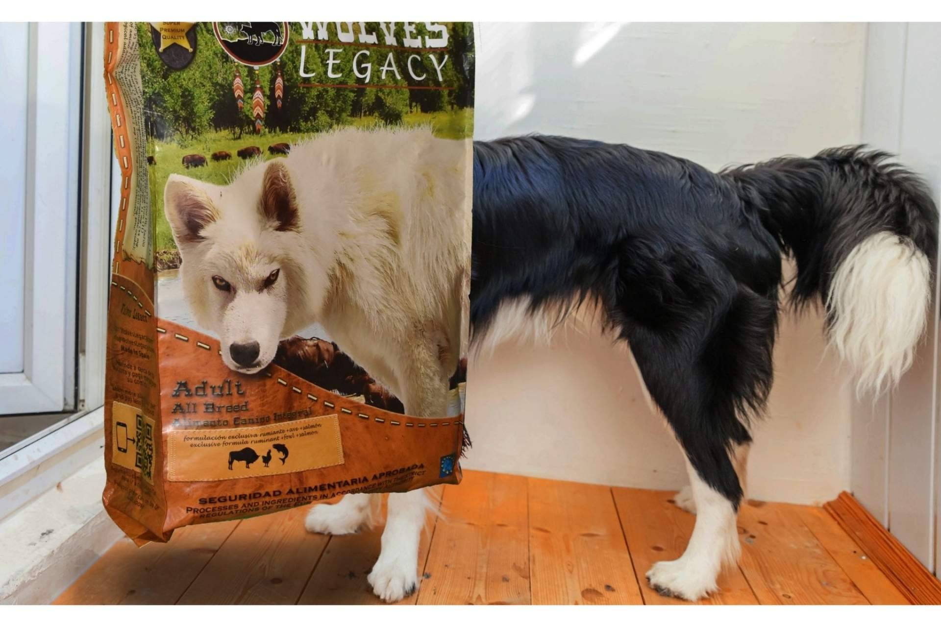 Wolves Legacy: las mejores opiniones del pienso para perros