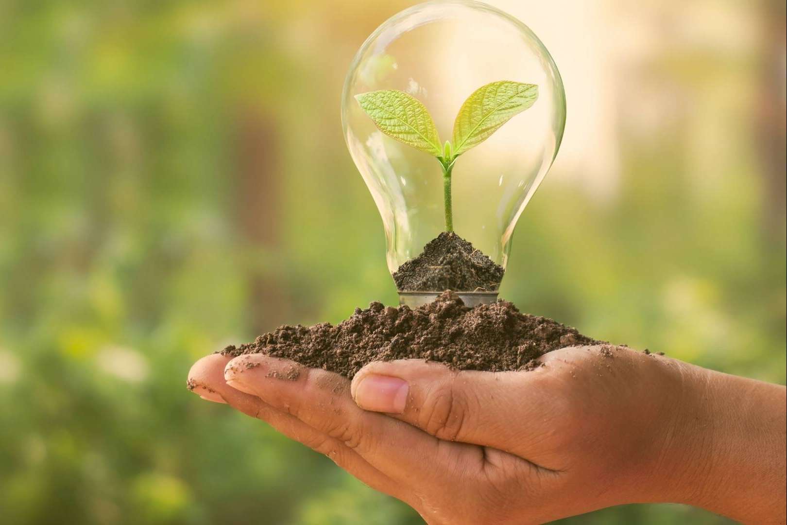 El método para ahorrar en la factura de la luz, por Solvenup