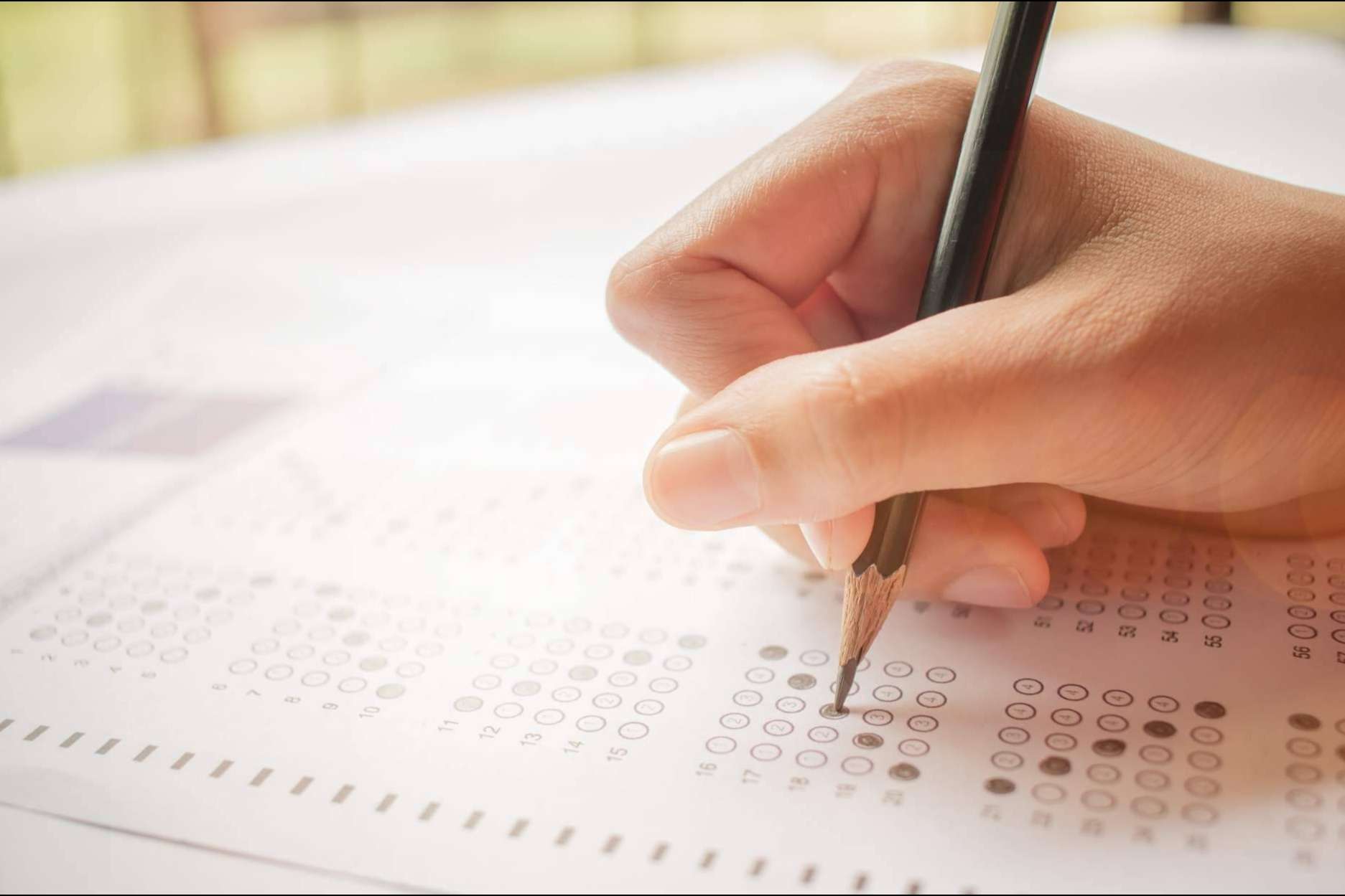 Academia Odiseo, una de las mejores opciones para preparar segundo de bachillerato