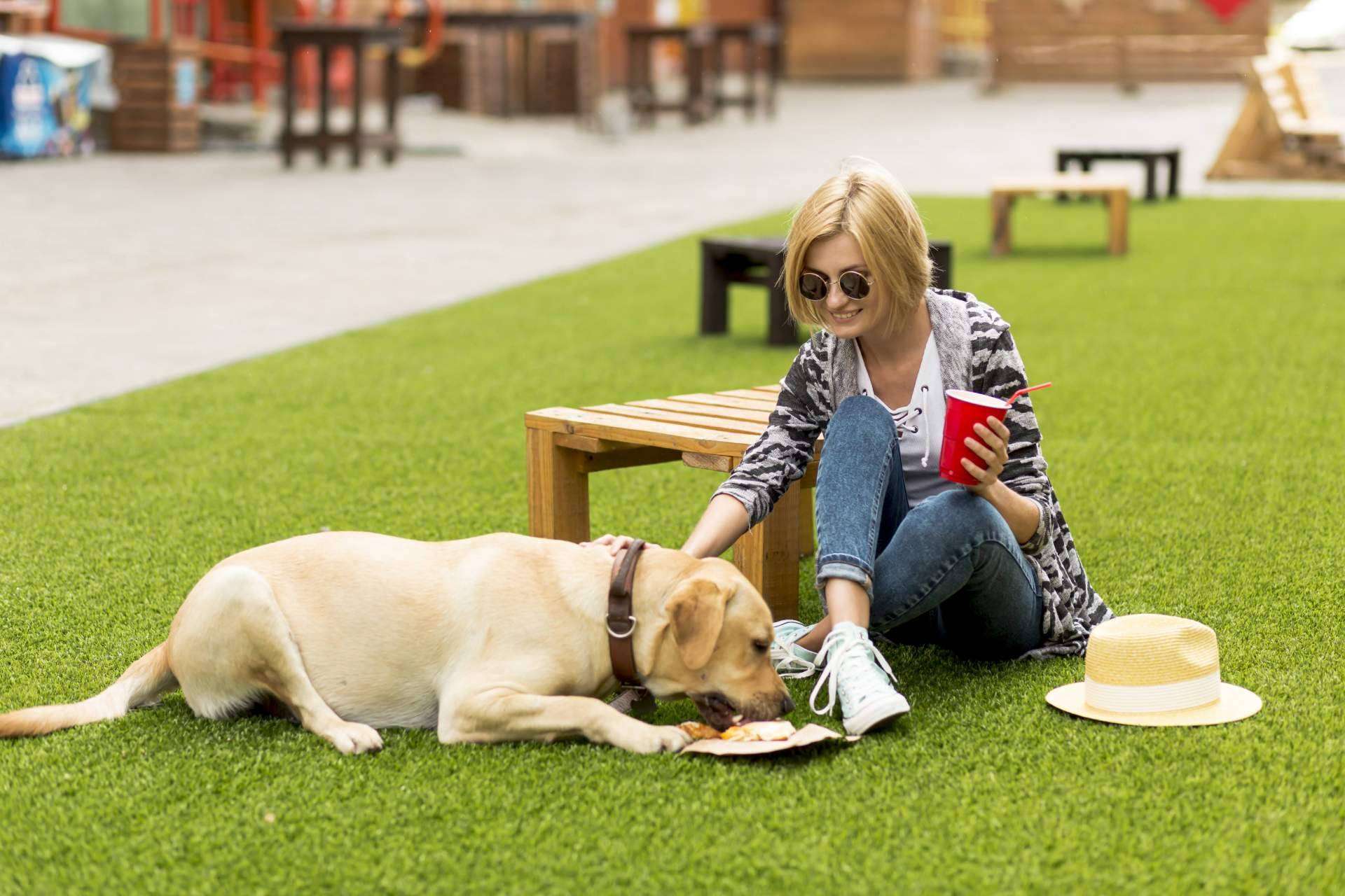 De Tapas con Mi Perro, la start-up que busca la inclusión de las mascotas y sus familias en locales y actividades de ocio