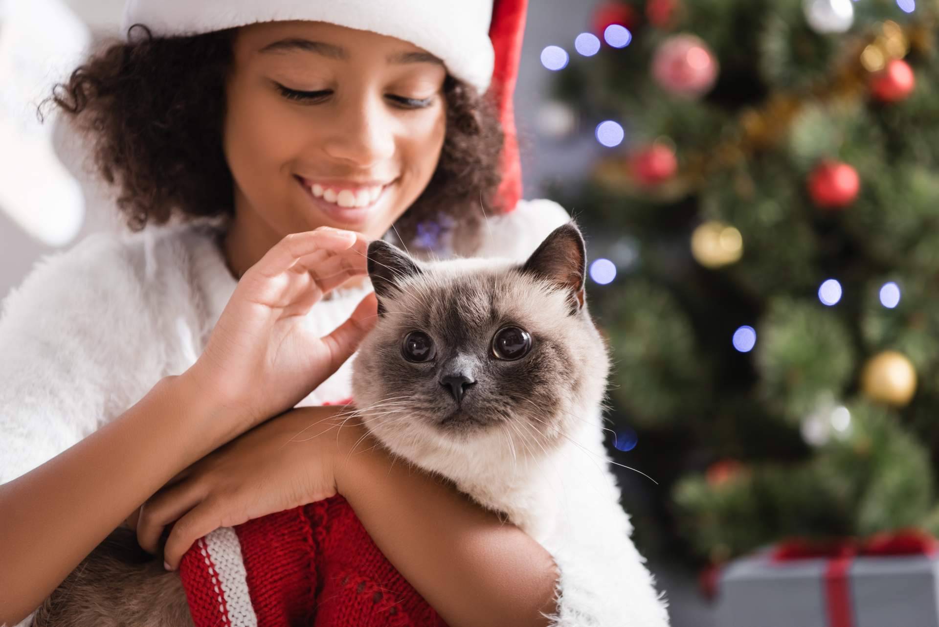 ¿Cómo incluir los perros y gatos en las fiestas?, Navidad en familia multiespecie