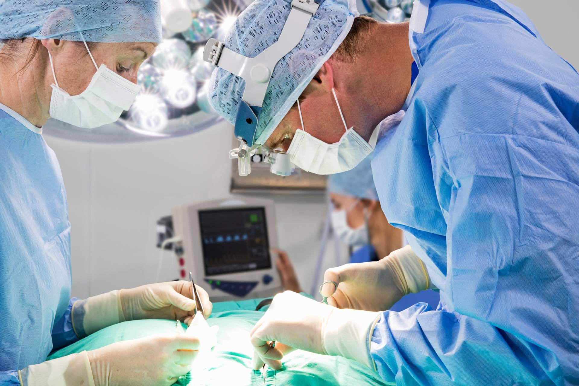 El seguro veterinario de Miwuki es el mejor valorado del mercado en Trustpilot
