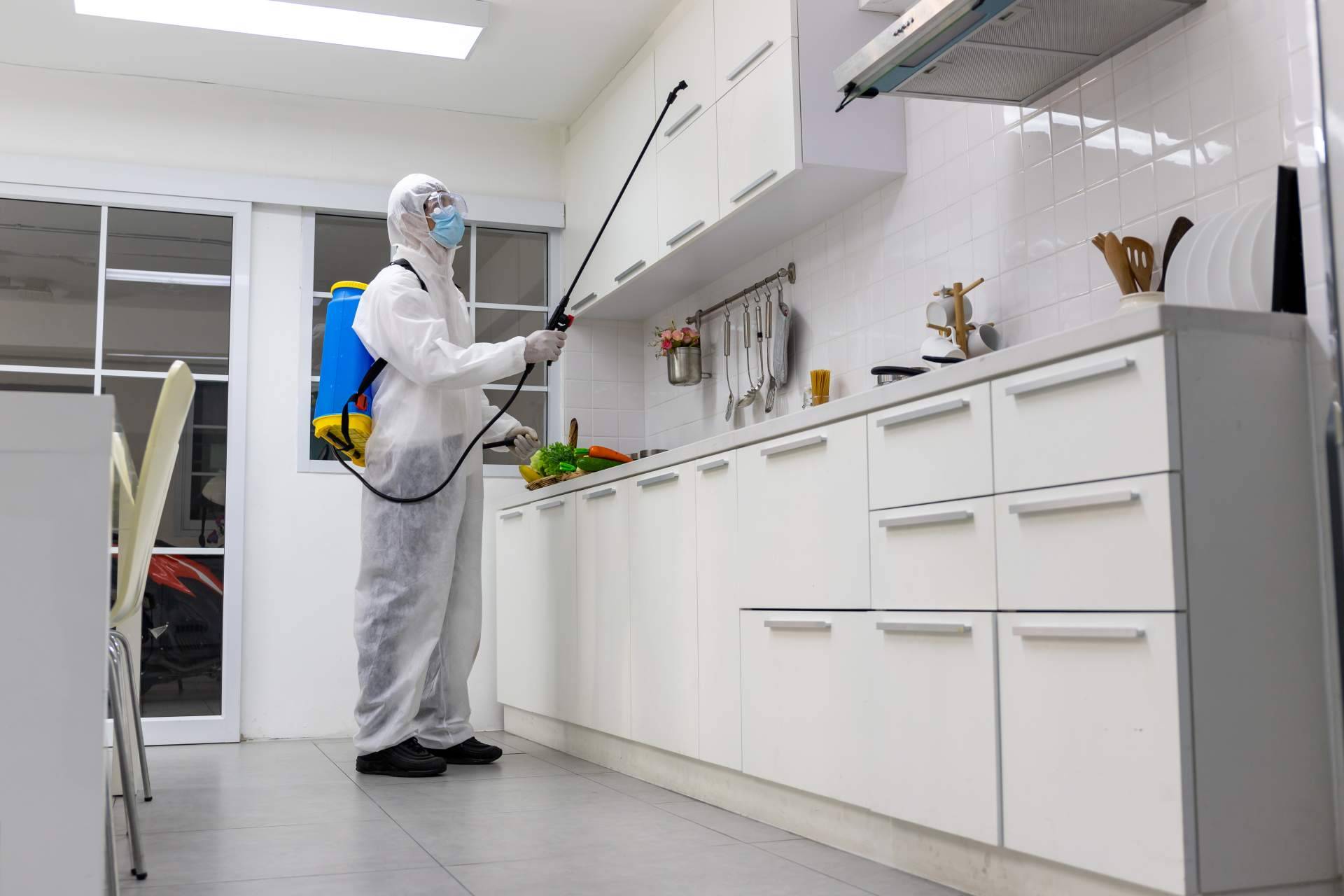 ¿Cuál ha sido el impacto de la pandemia en las empresas de desinfección y control de plagas? LEU Servicios