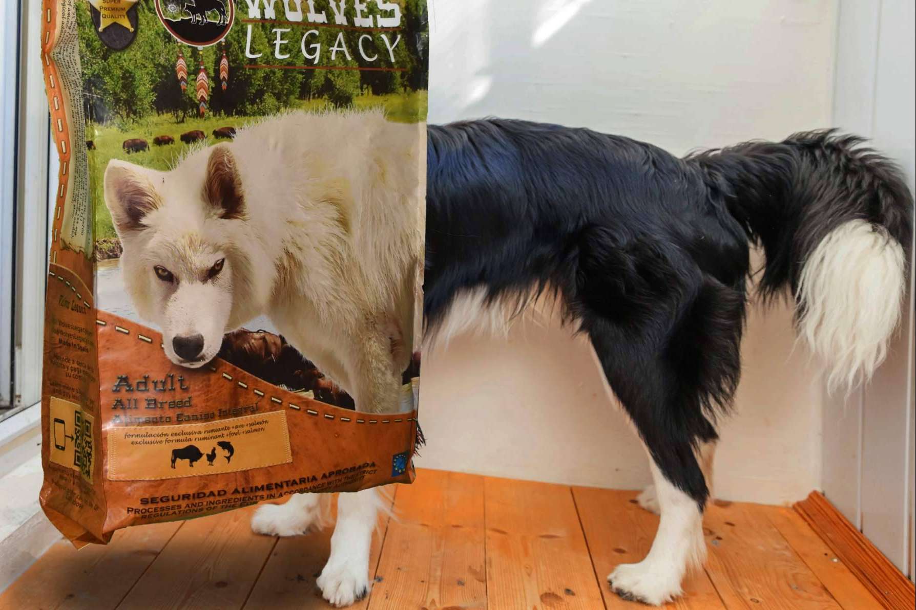 La forma de evaluar los mejores piensos para perros