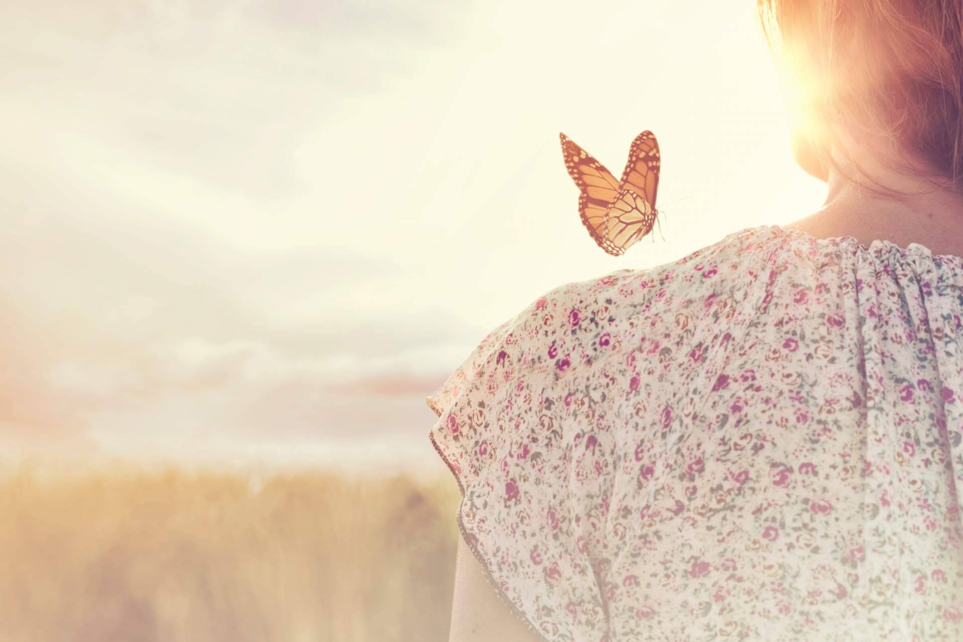 Cursos online de mindfulness de la mano de Psicosoluciones Burgos