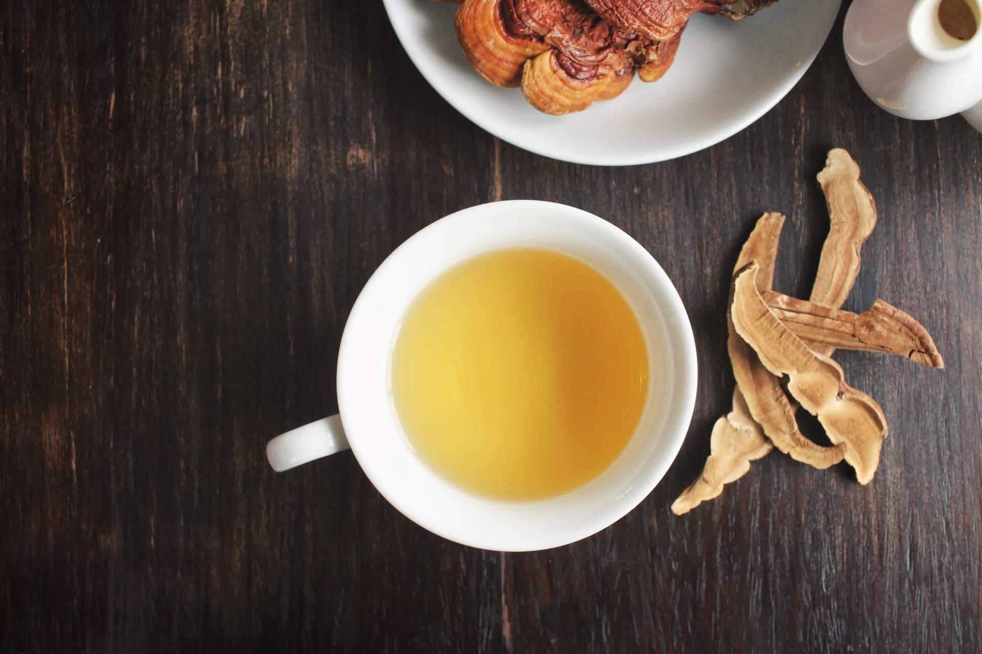 Un aliado alternativo para mejorar la salud y el bienestar, el hongo Reishi