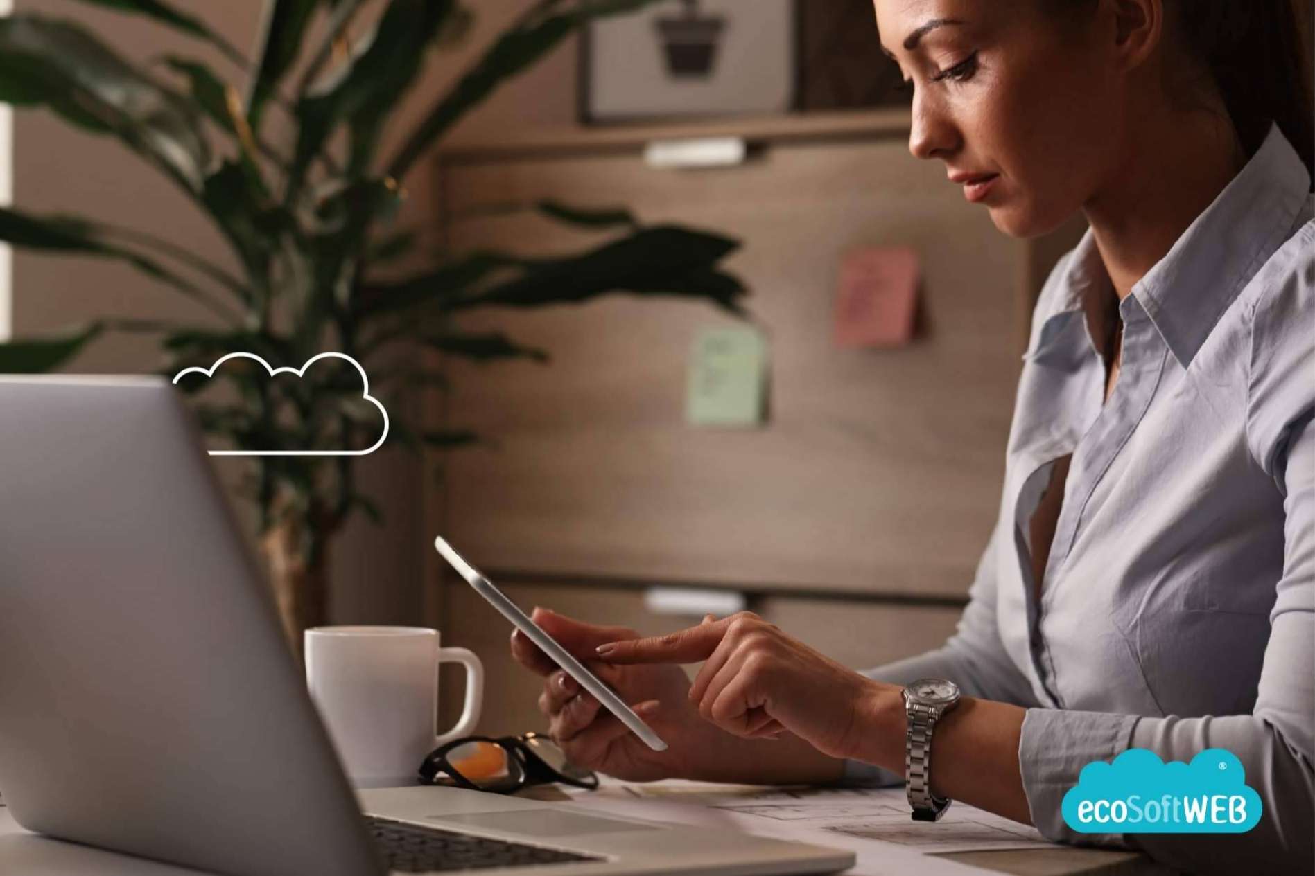 ecoSoftWEB, el ERP y CRM web para empresas de ecoSoft Consulting