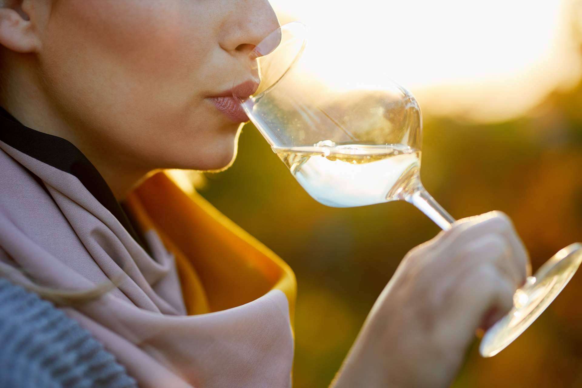 Unos de los mejores vinos ecológicos disponible en la web de Your Wine at Home