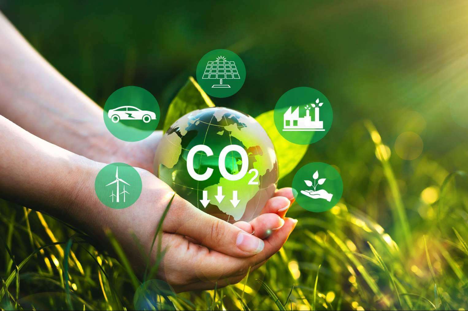 ClimateTrade ayuda a compensar la huella de carbono