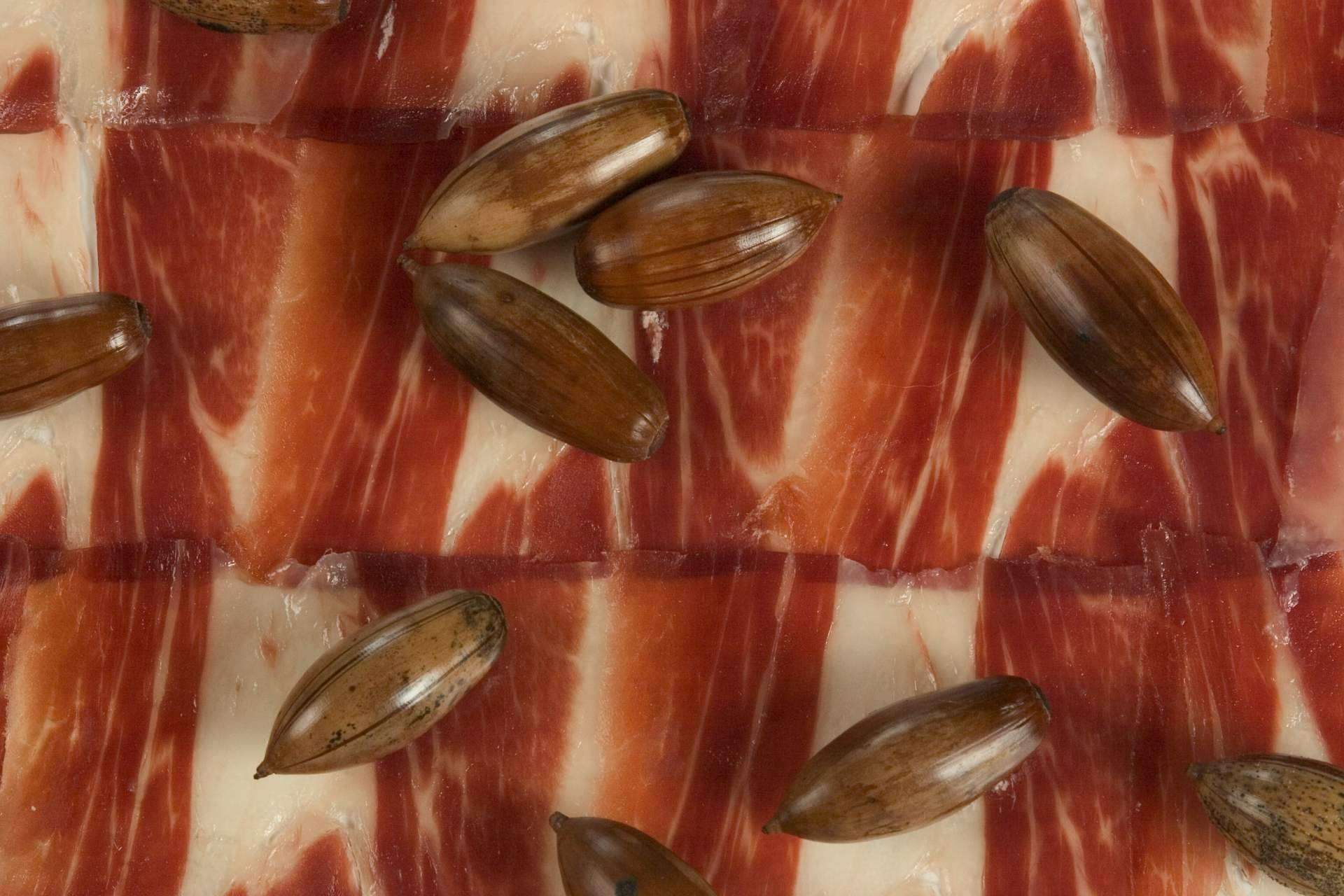 Encontrar jamón de bellota de calidad en País de Quercus