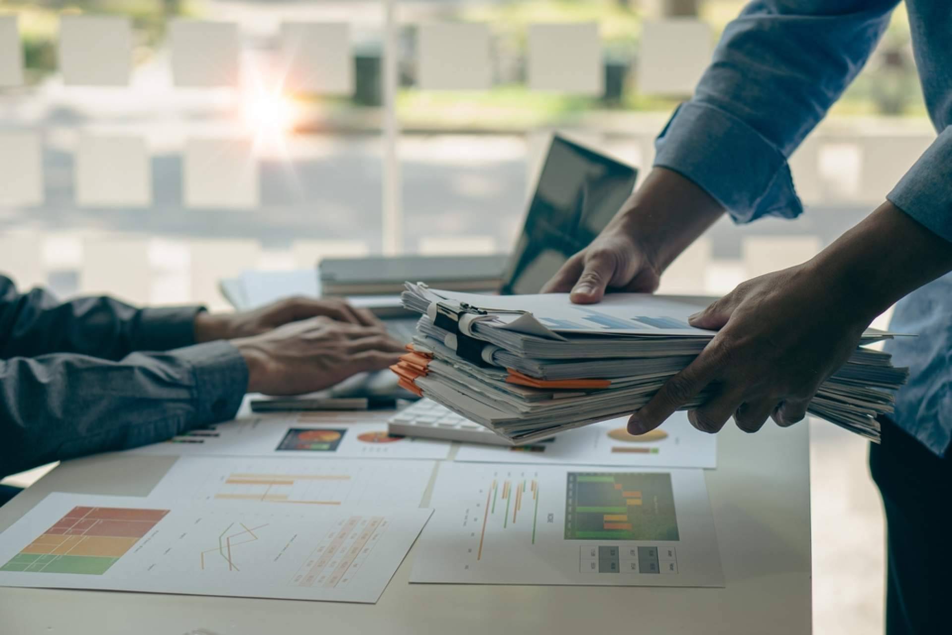 Grado y Máster ofrece un equipo docente para la realización del TFM