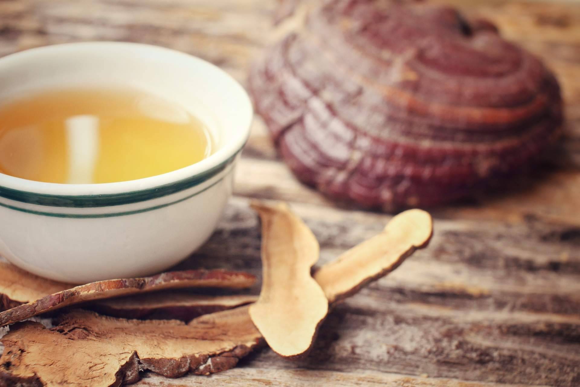 Comprar cosmética con Dxn Ganoderma, de la mano de La Tienda de Cristóbal