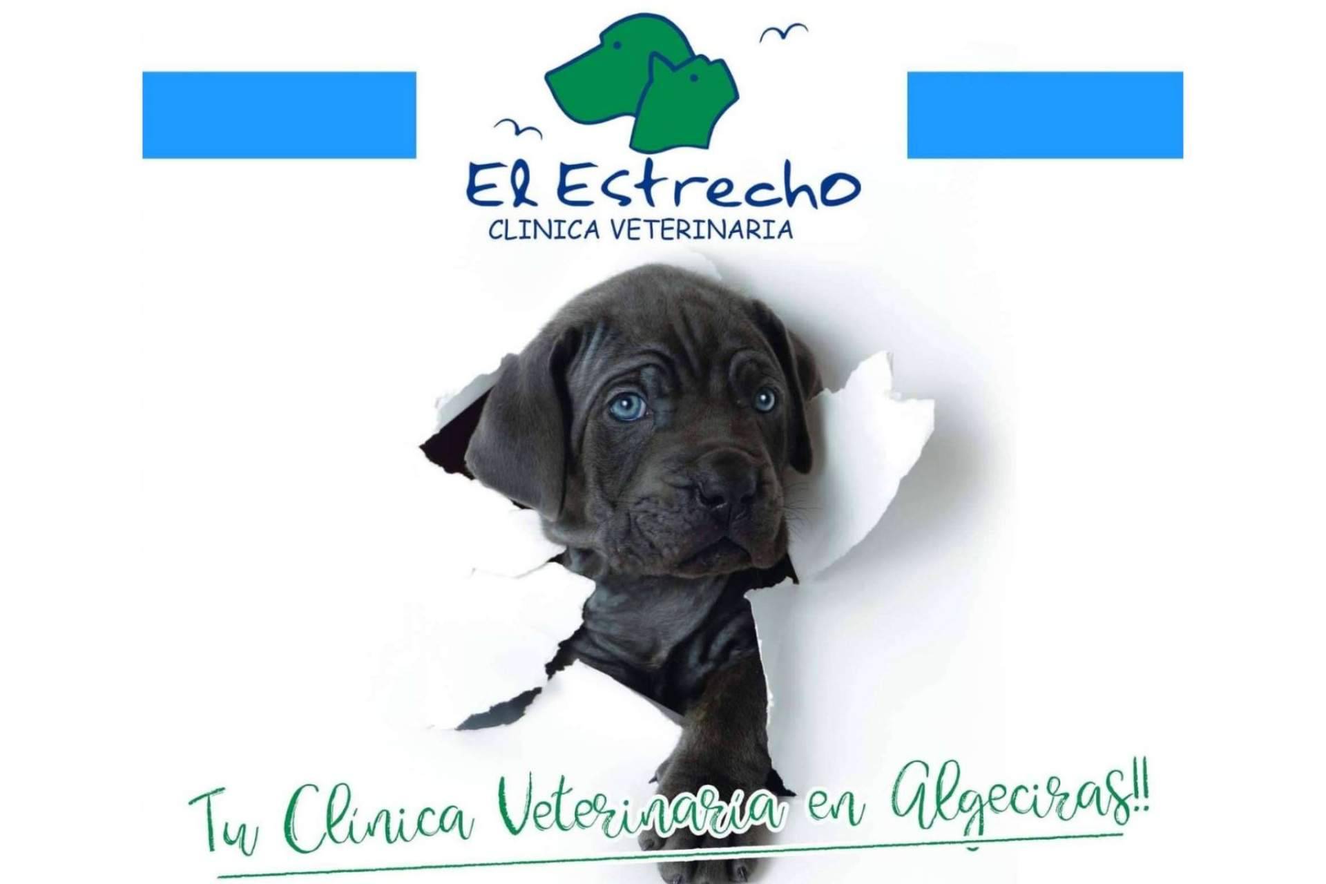 El centro veterinario El Estrecho usa tratamientos de ozono