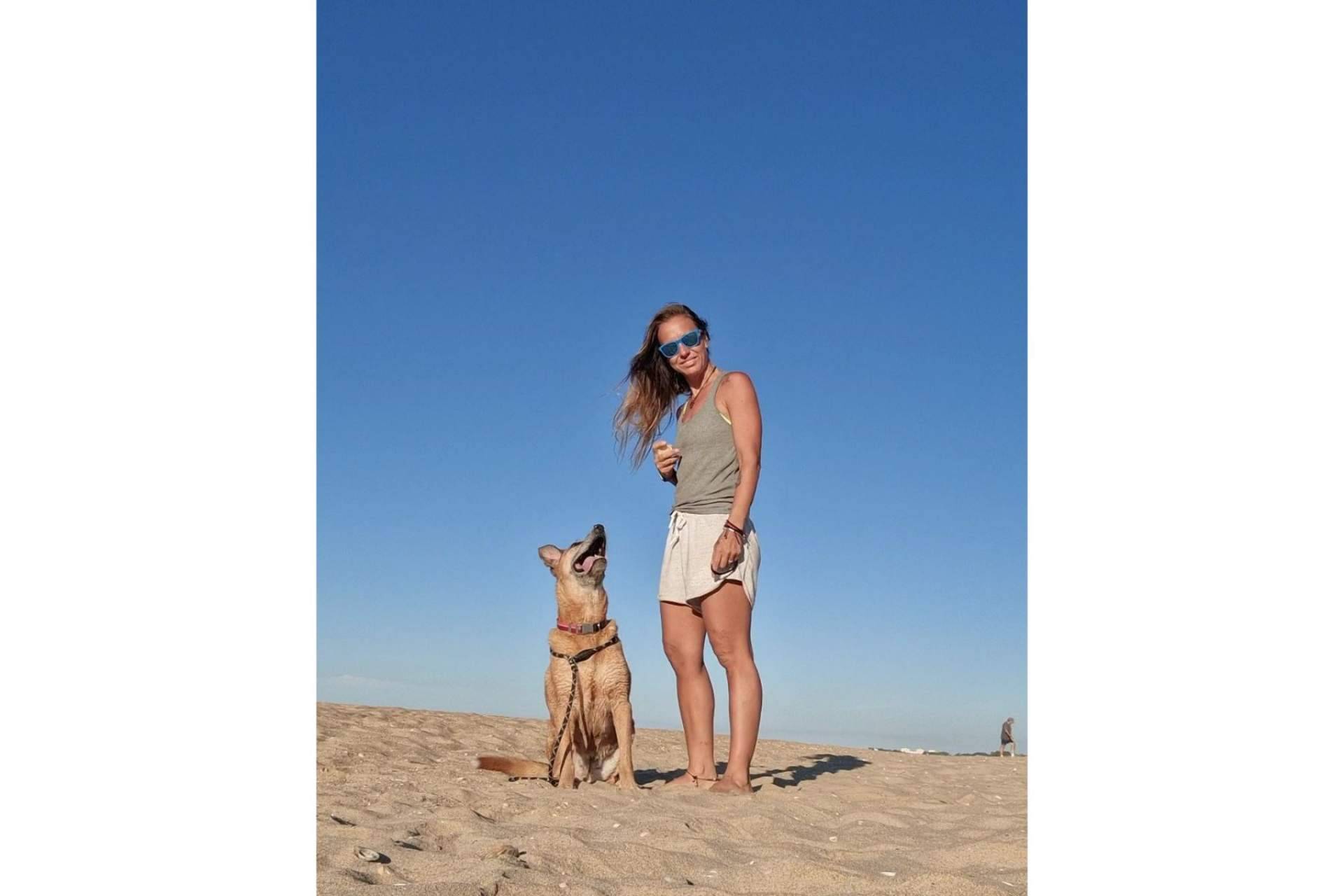 ¿Dónde encontrar una guardería de día para el cuidado de los perros? PERROBUENO