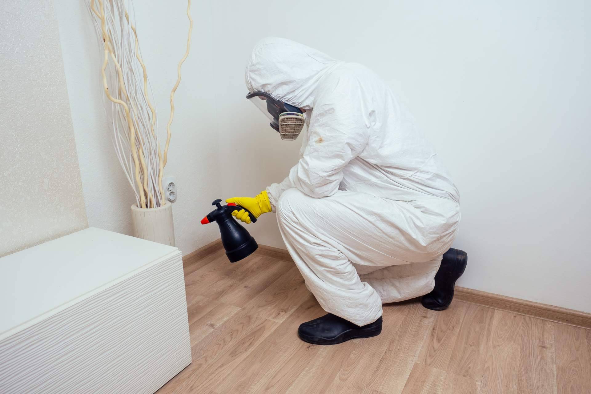 American Pest Control, la empresa de control de plagas de Madrid
