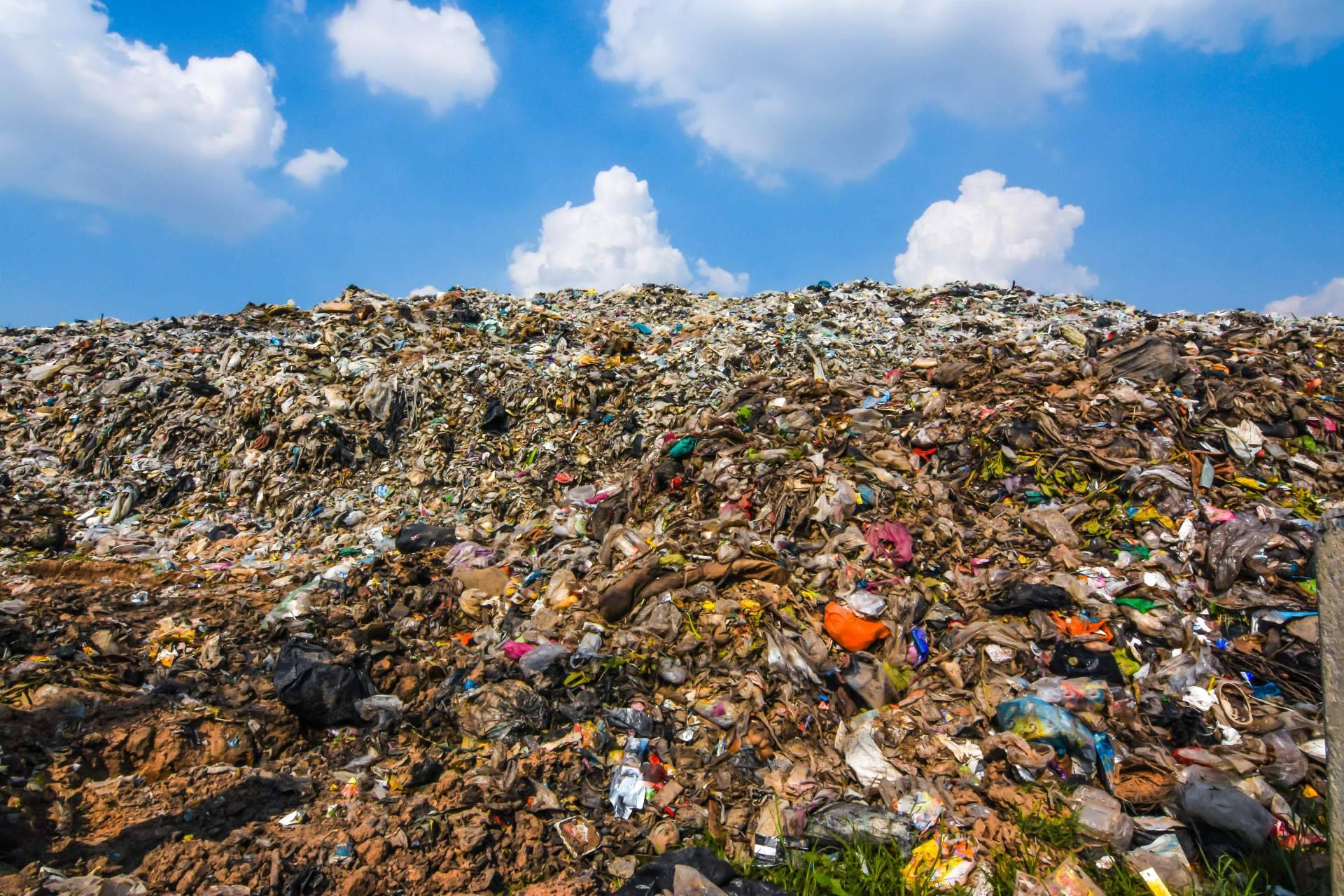La importancia de la economía circular y la valorización de residuos en la actualidad
