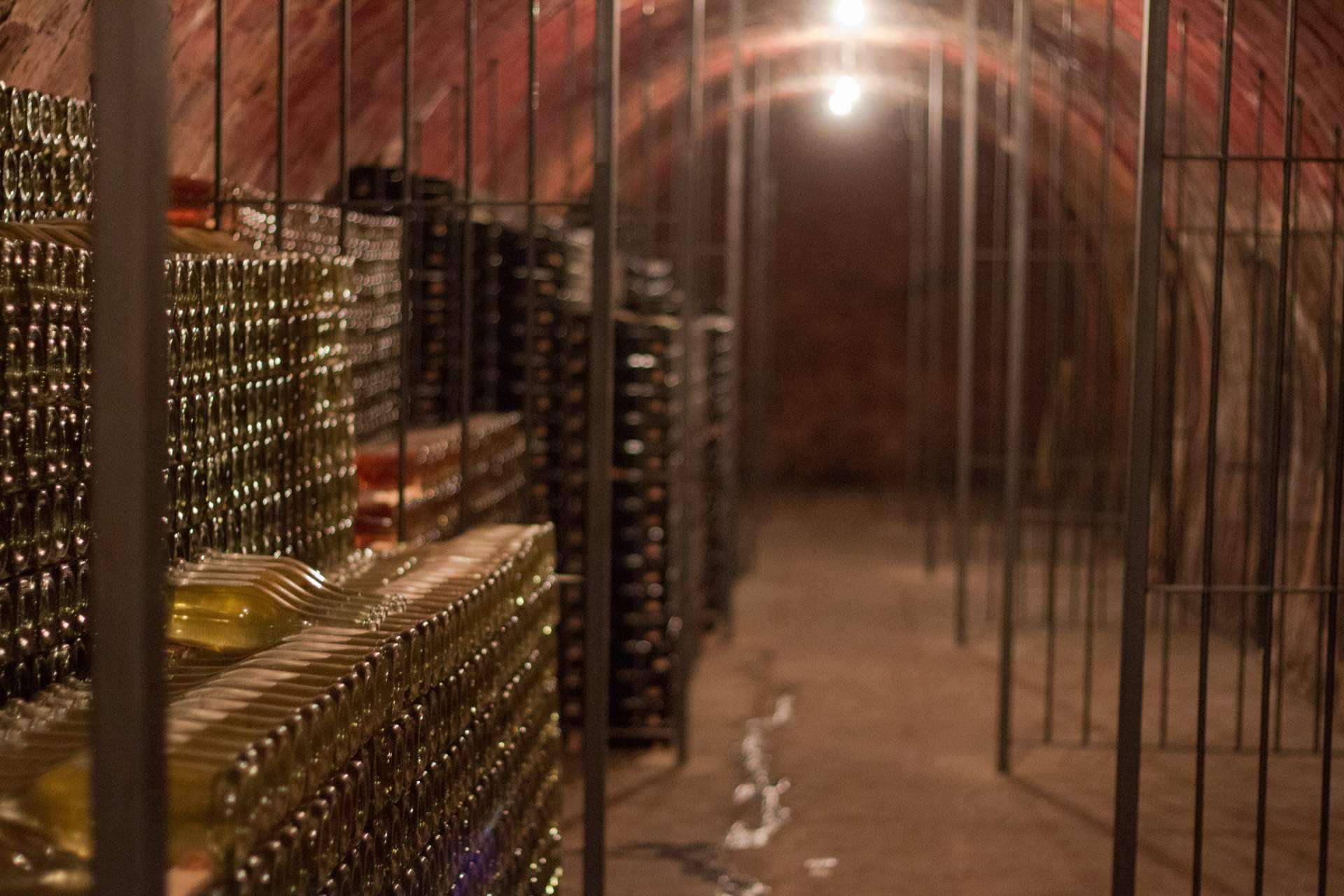 Regalar enoturismo con las catas de vinos de Natureloverswines