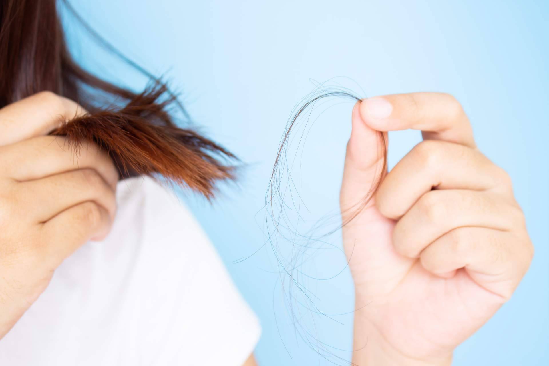 Las principales razones de la caída del cabello en otoño, por Bibefy