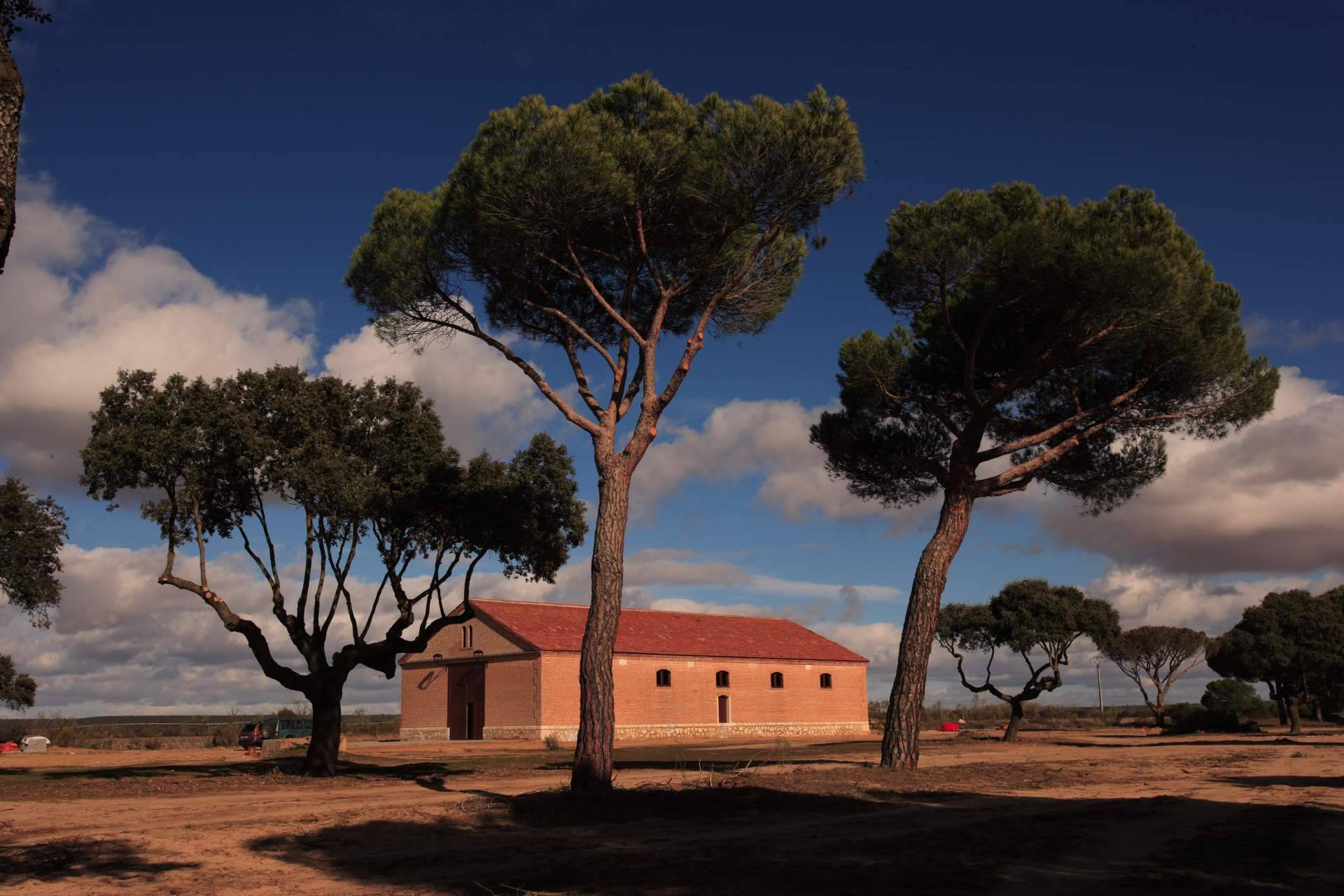 Barcolobo presenta los 5 vinos de reserva natural que no pueden faltar en la mesa